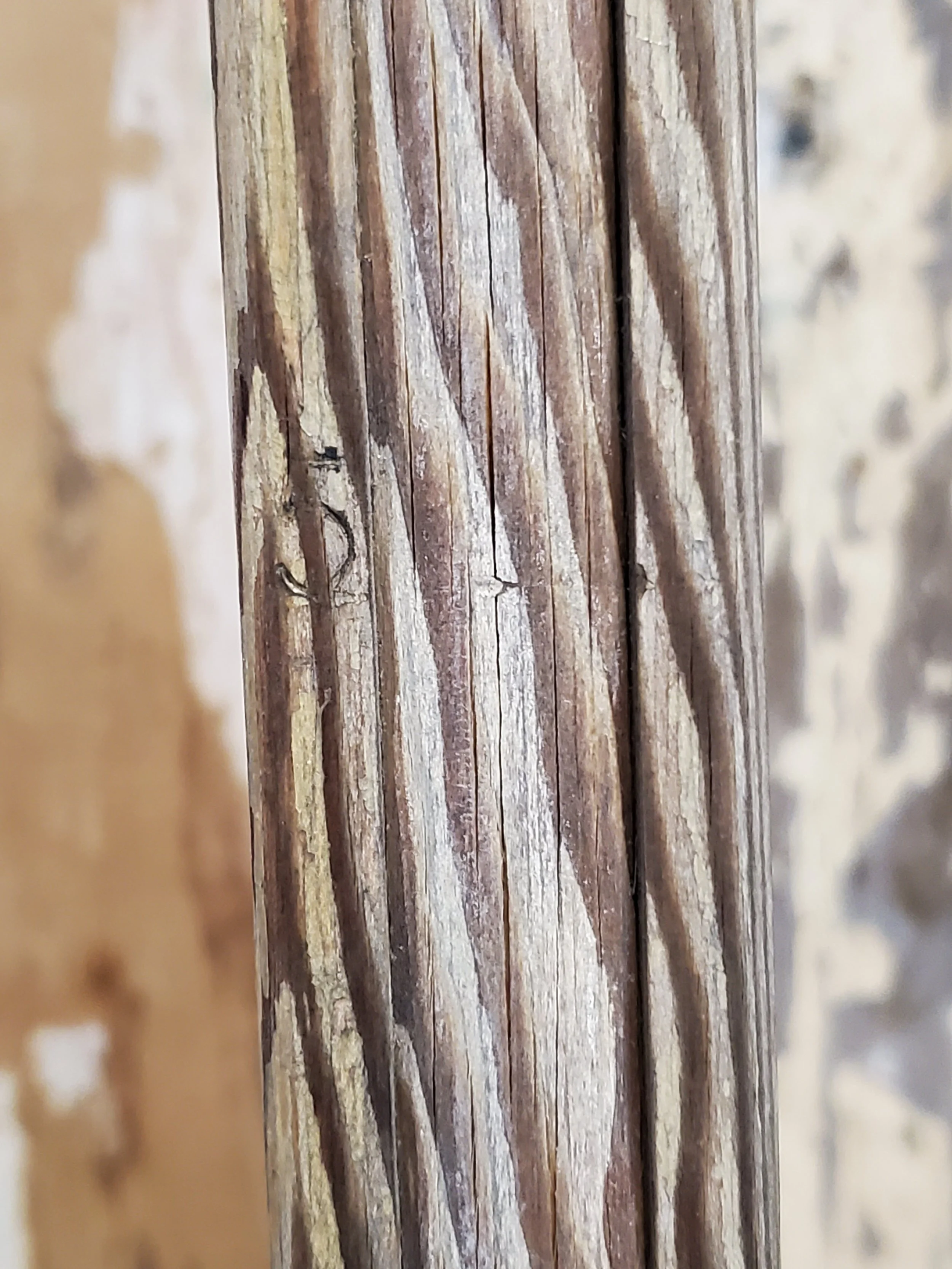 2026-01-25 12.08.51.jpg