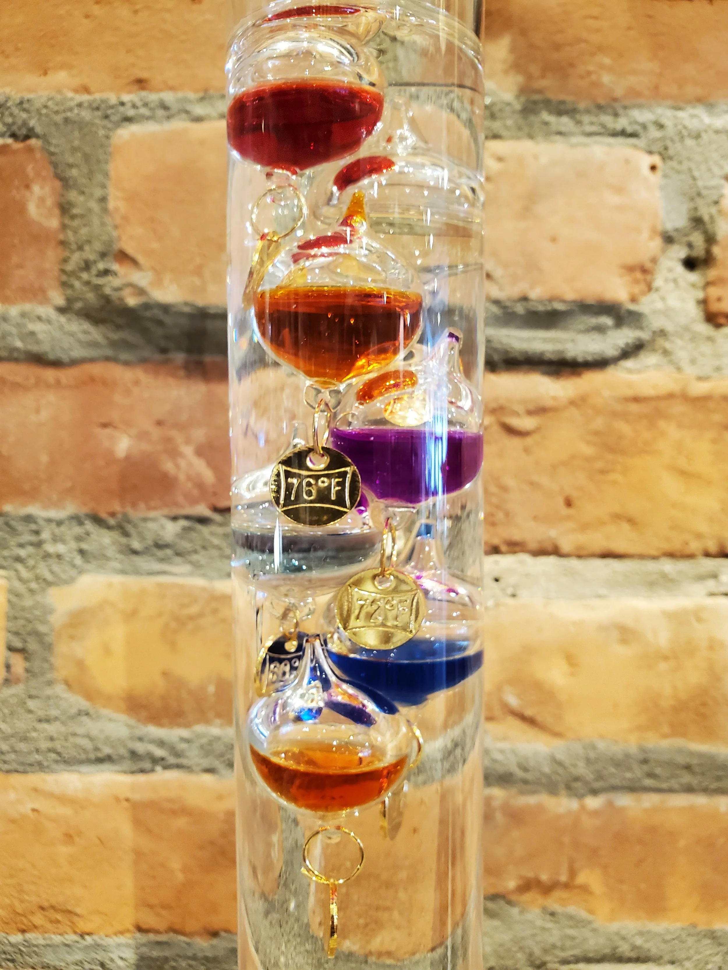 2026-02-11 11.46.32.jpg