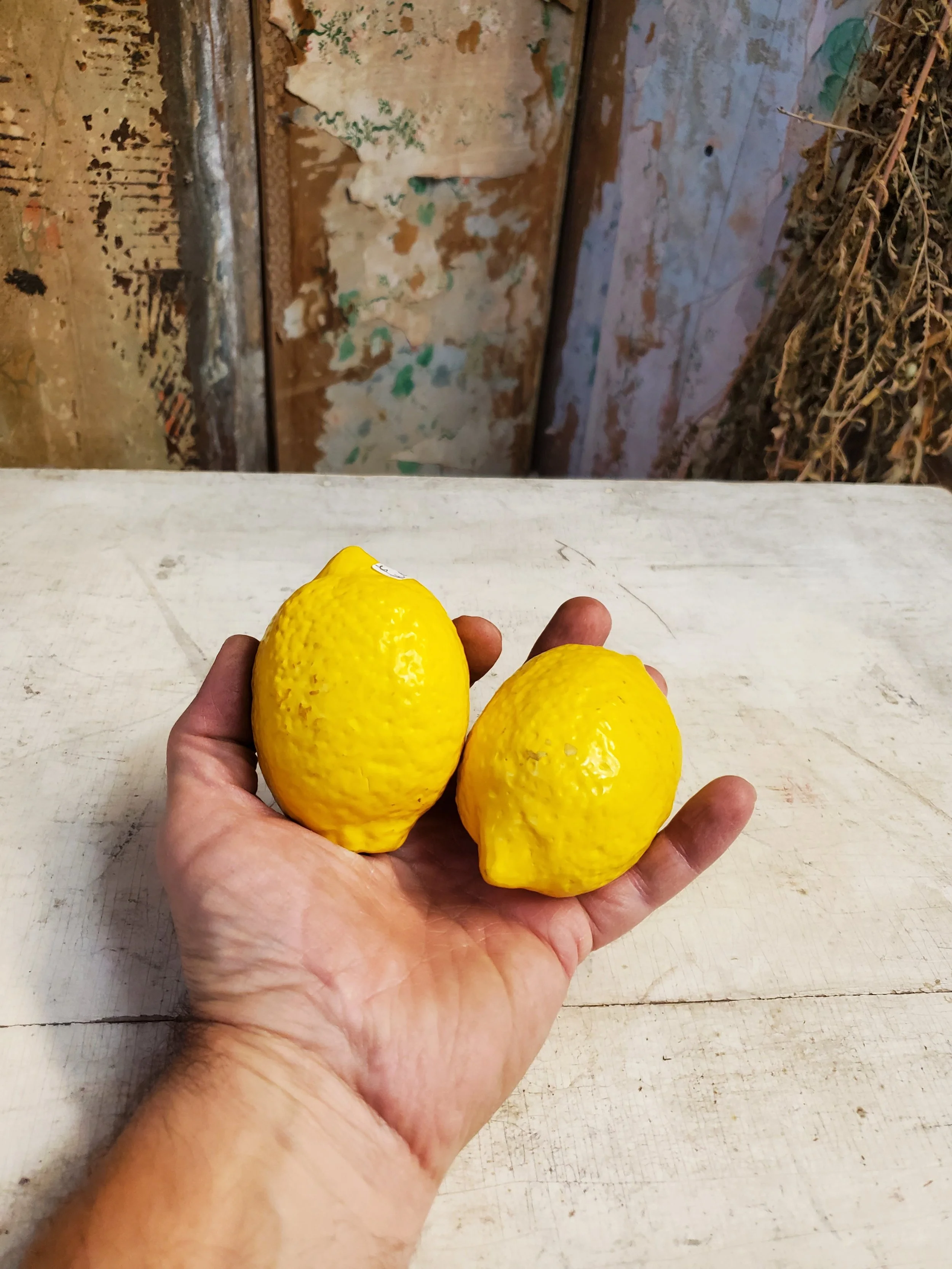 Nature morte citron en bois vintage AC 6253