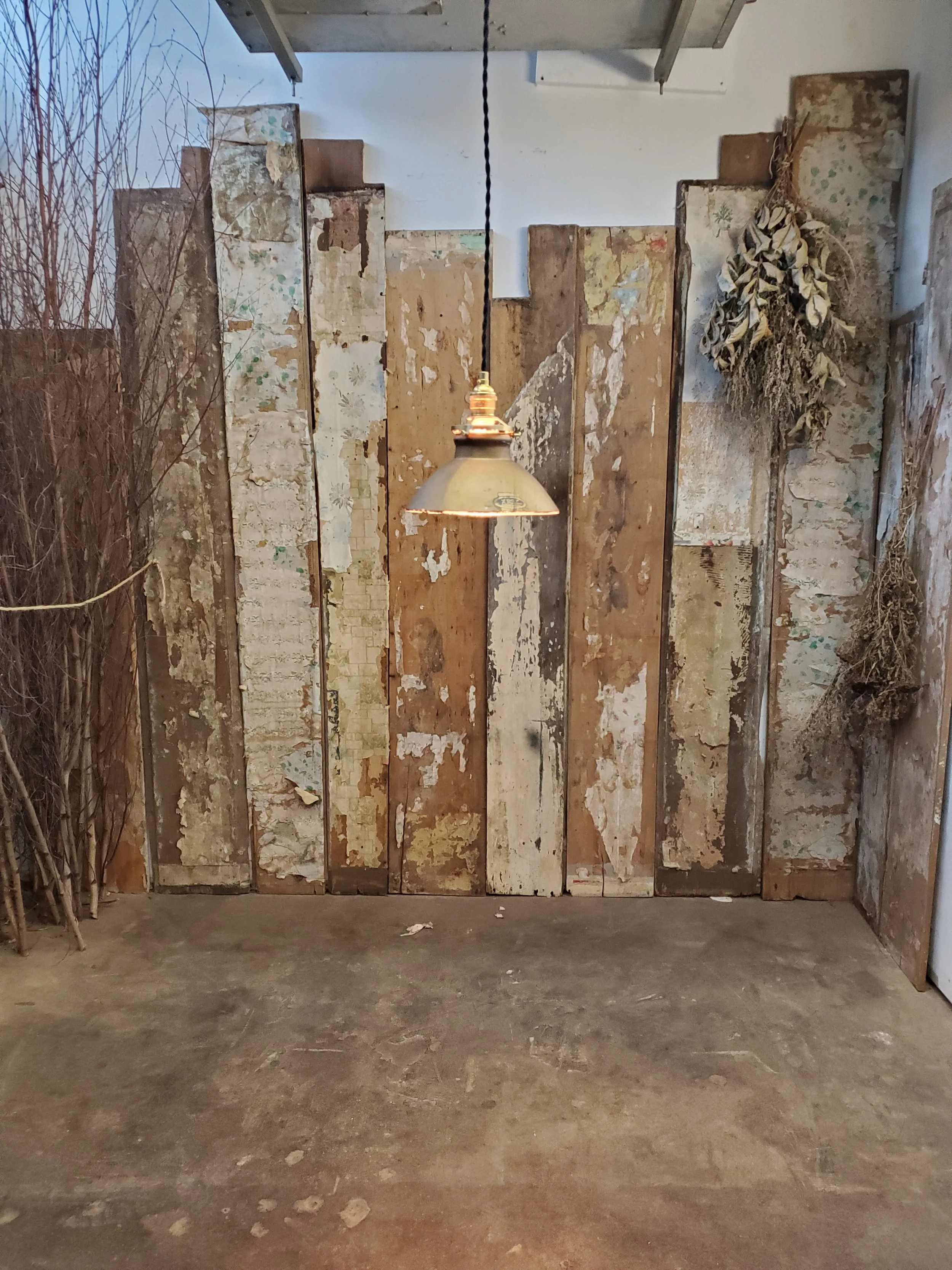 2026-02-24 14.22.01.jpg