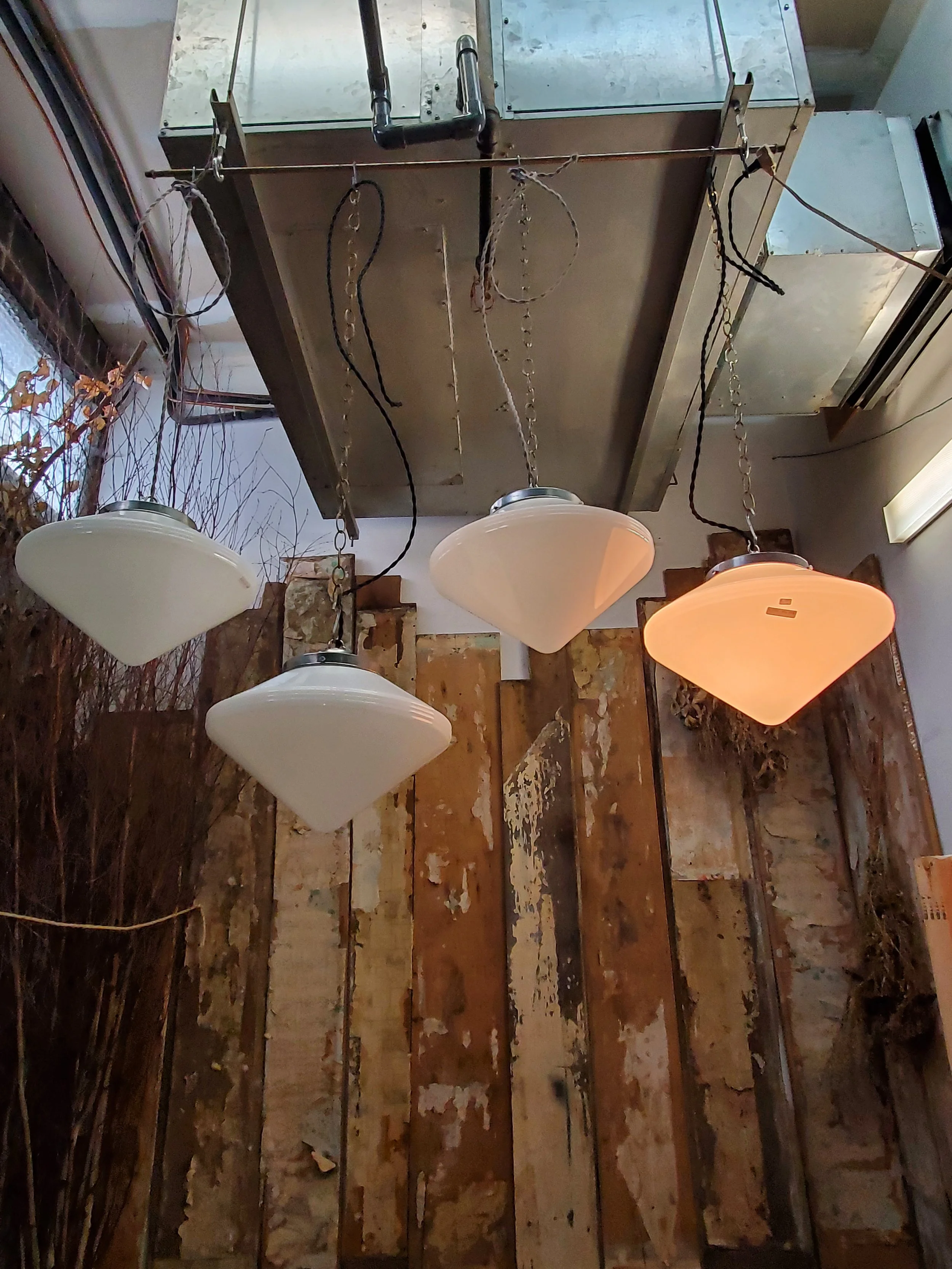 2026-02-20 13.03.05.jpg