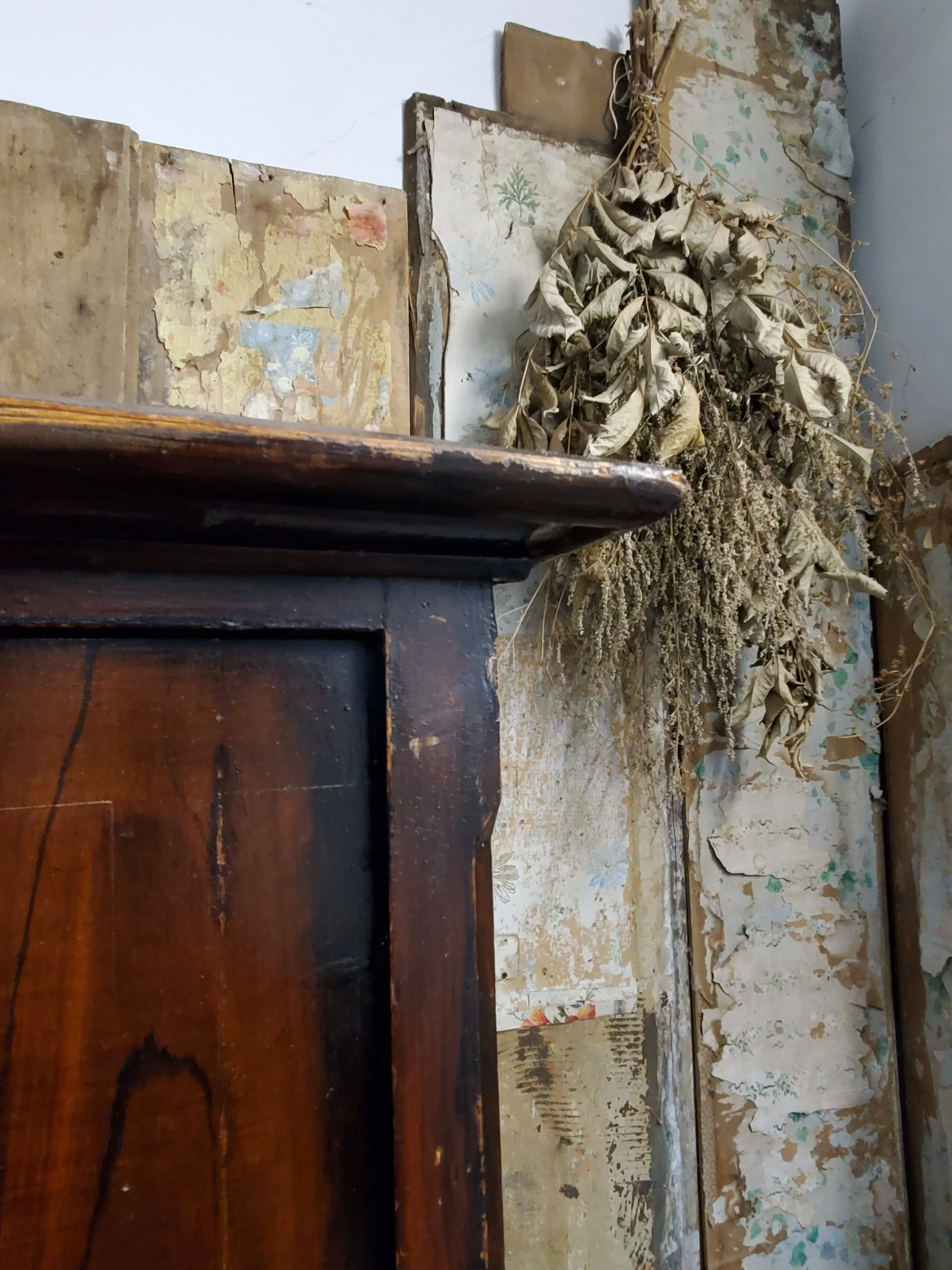 2026-02-10 16.23.59.jpg (copie)