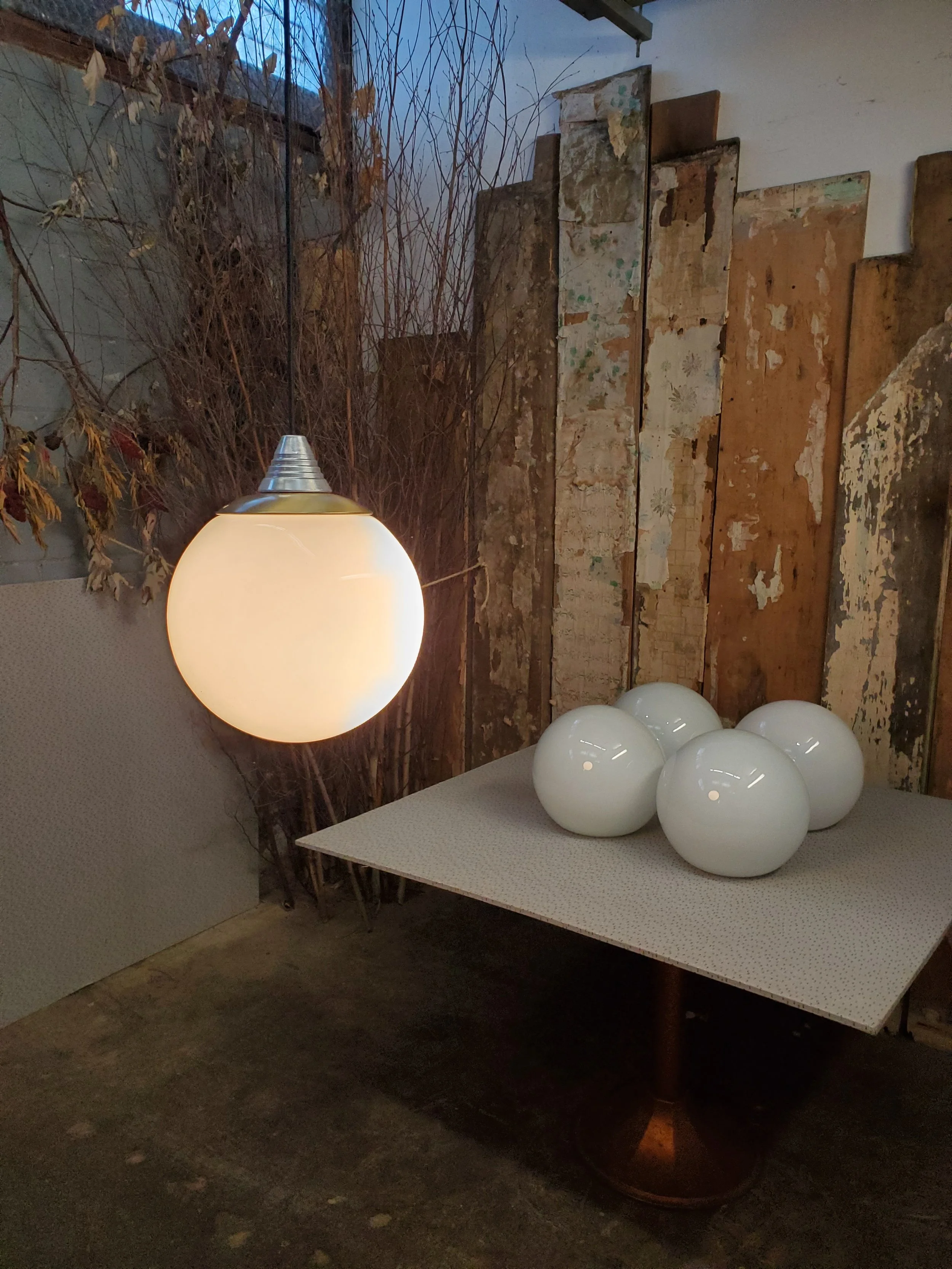 2026-02-24 14.44.19.jpg