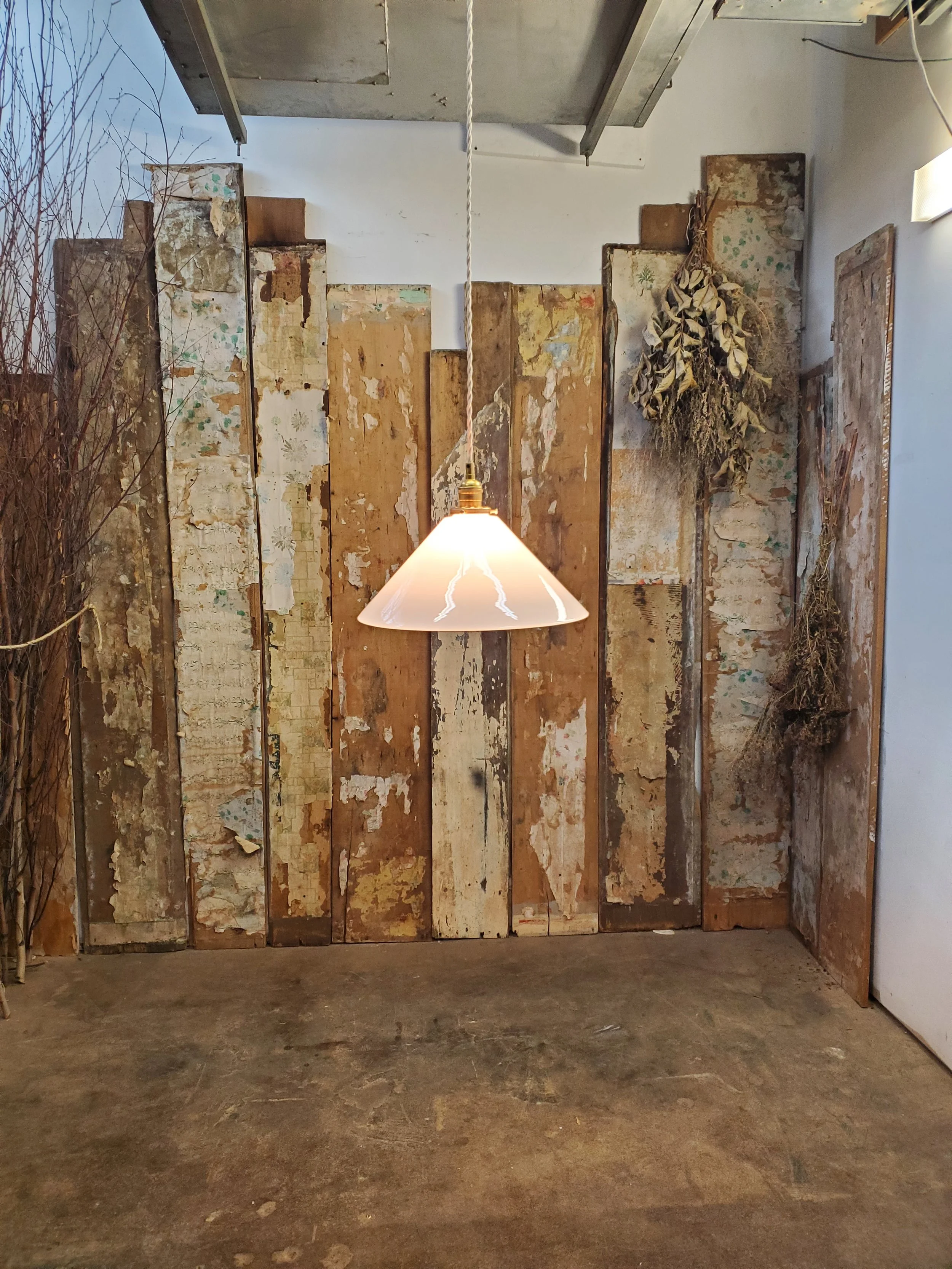 2026-02-16 14.17.57.jpg