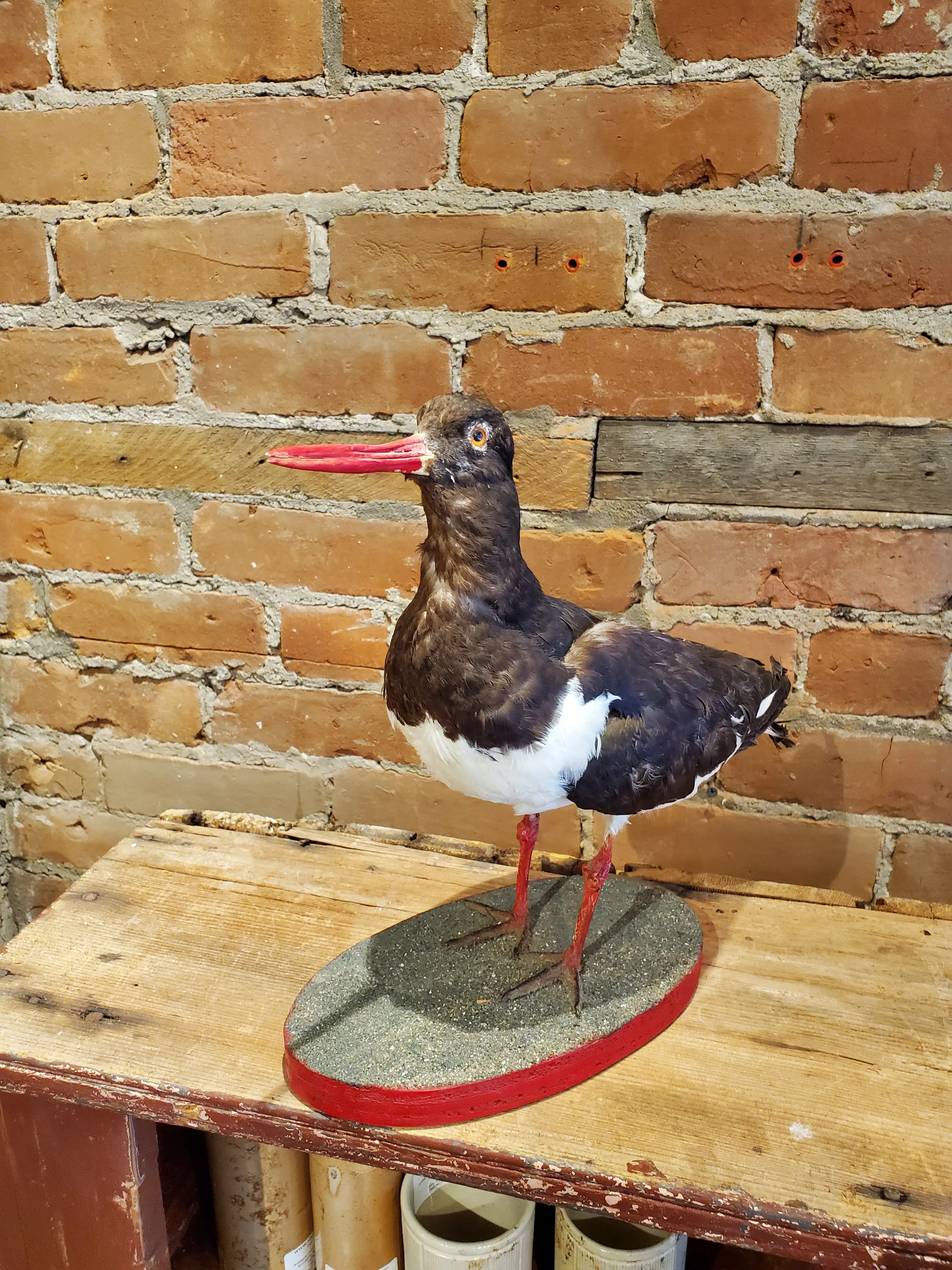 2025-08-26 12.16.11.jpg