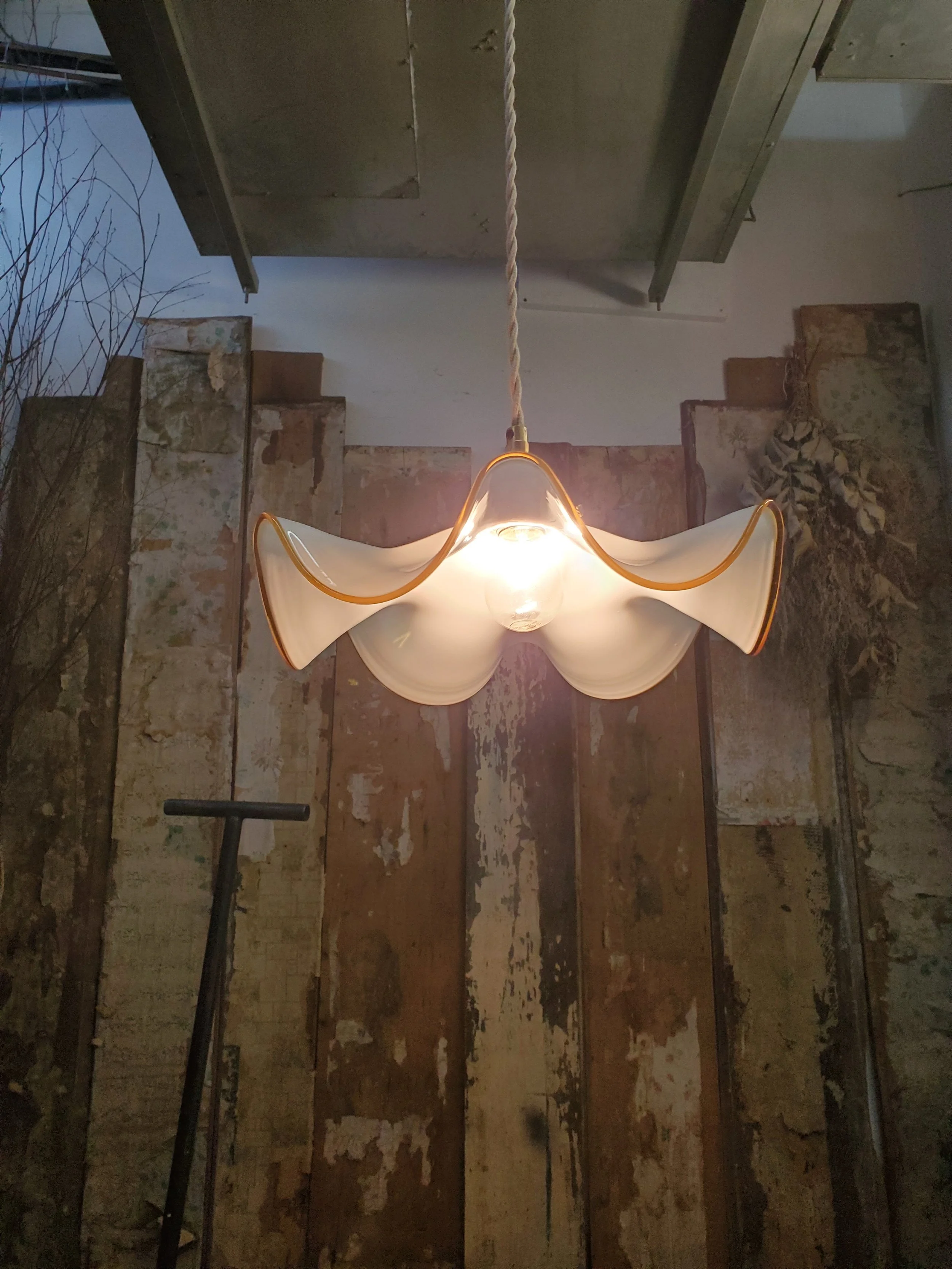 2026-01-23 15.11.23.jpg (copie)