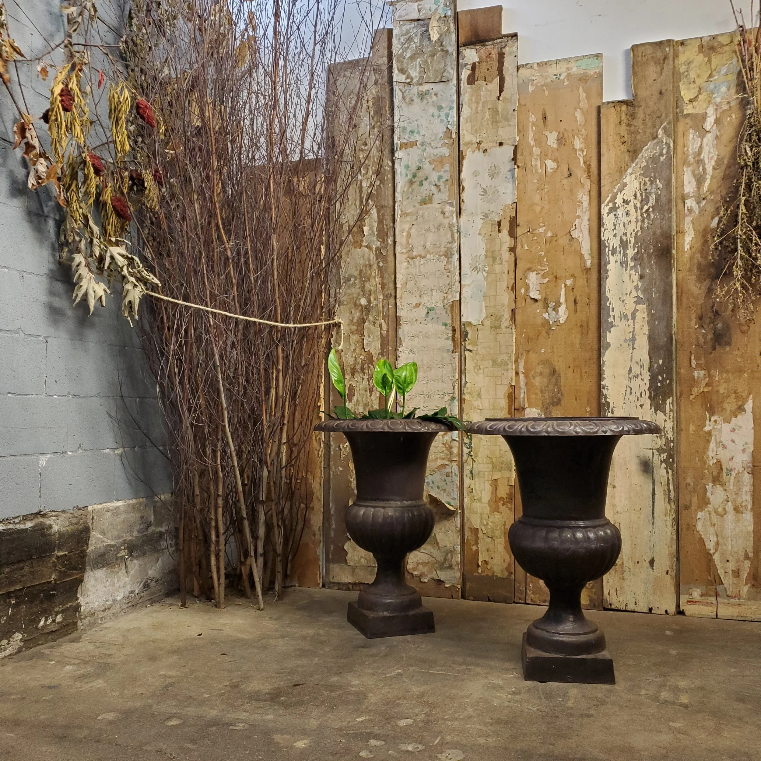 2025-05-26 16.41.16.jpg