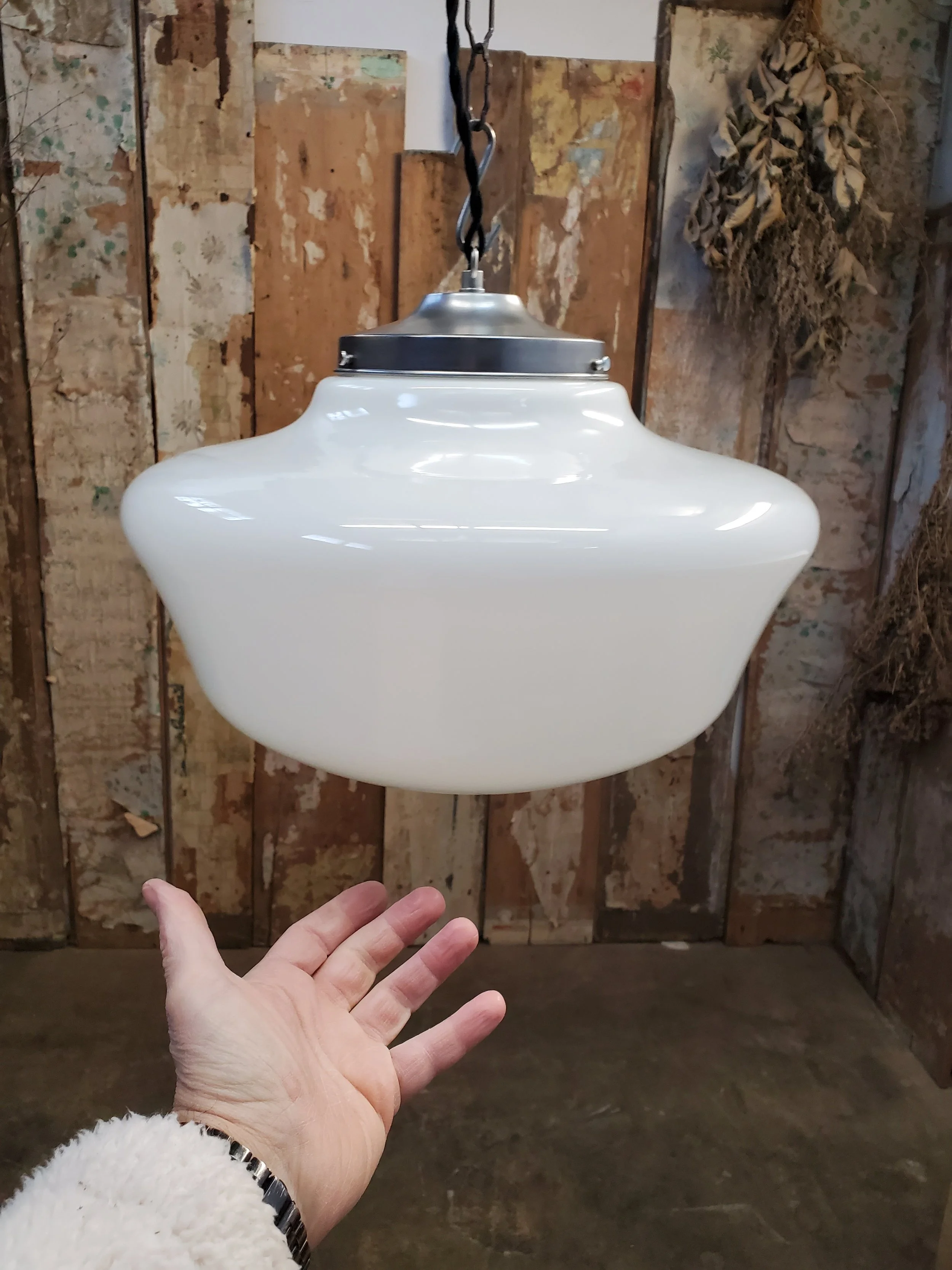 2026-02-19 12.32.28.jpg (copie)