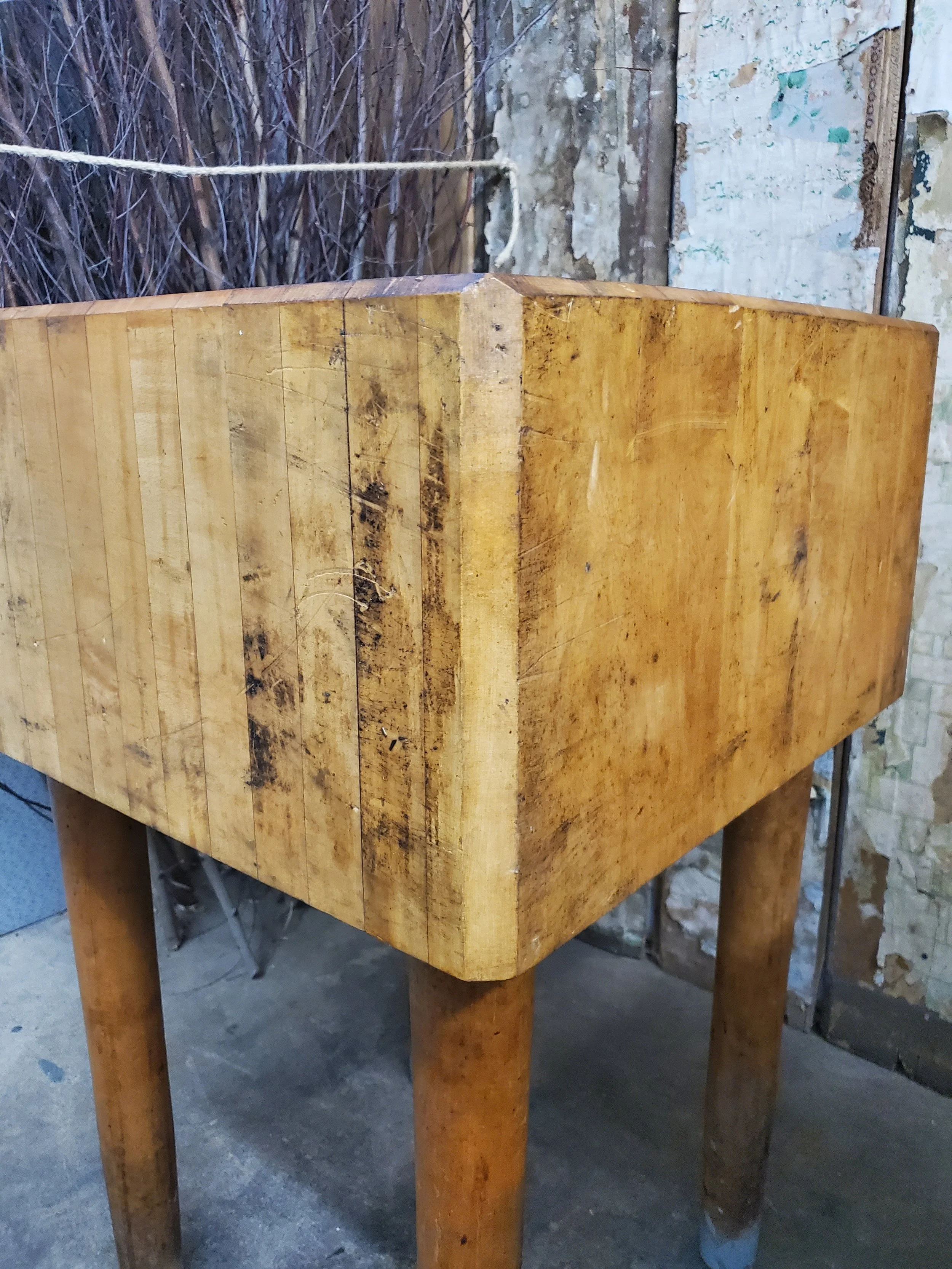 2026-03-05 16.08.17.jpg (copie)