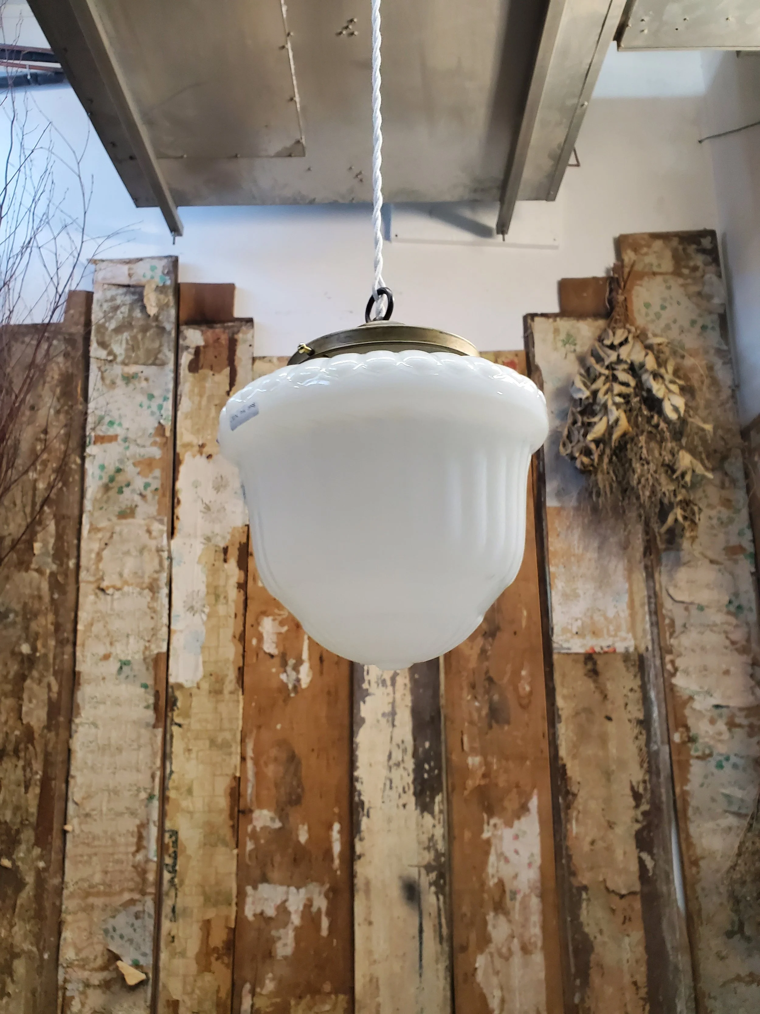 2026-02-15 14.48.28.jpg (copie)