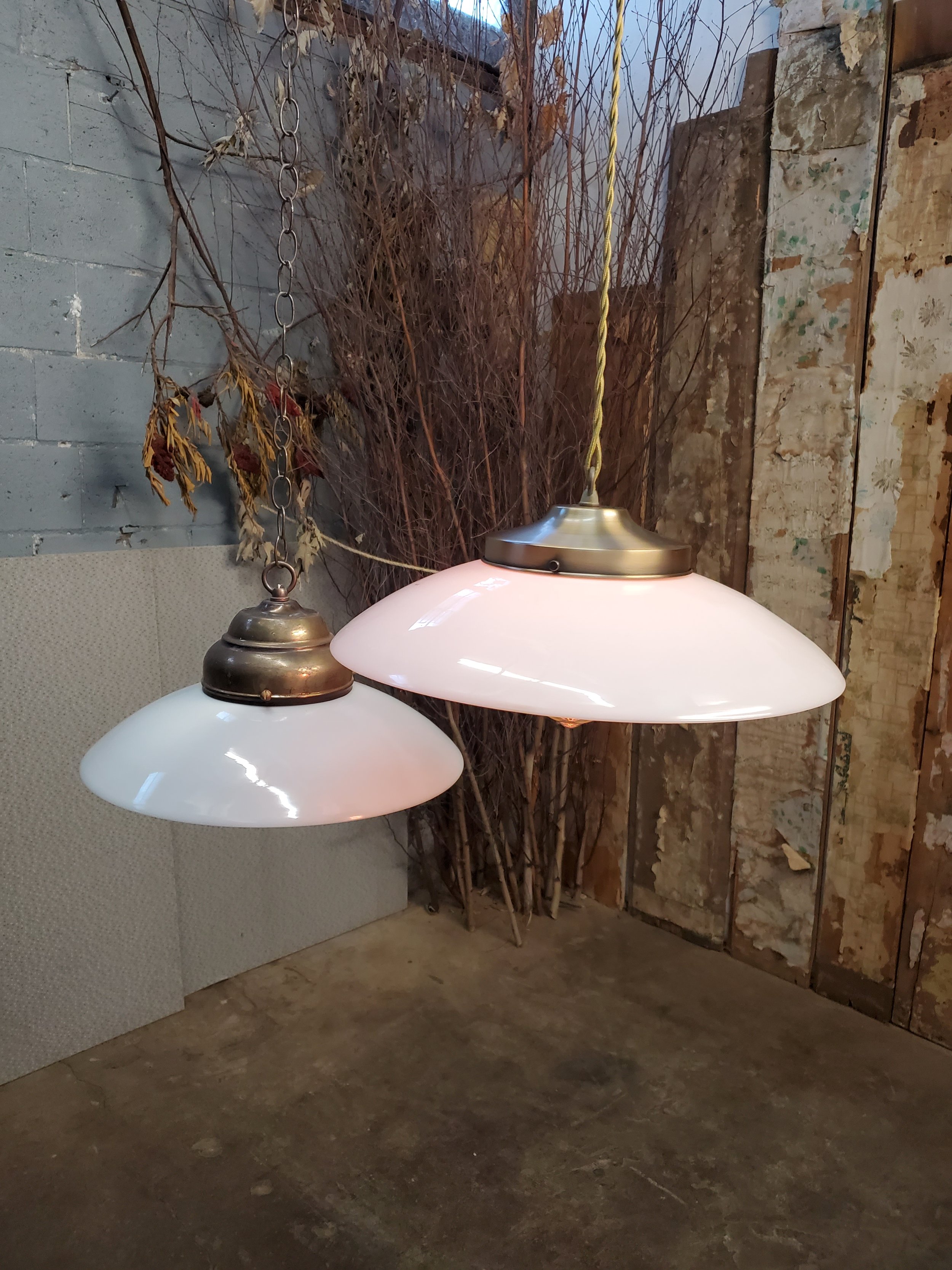 2026-02-26 16.14.26.jpg