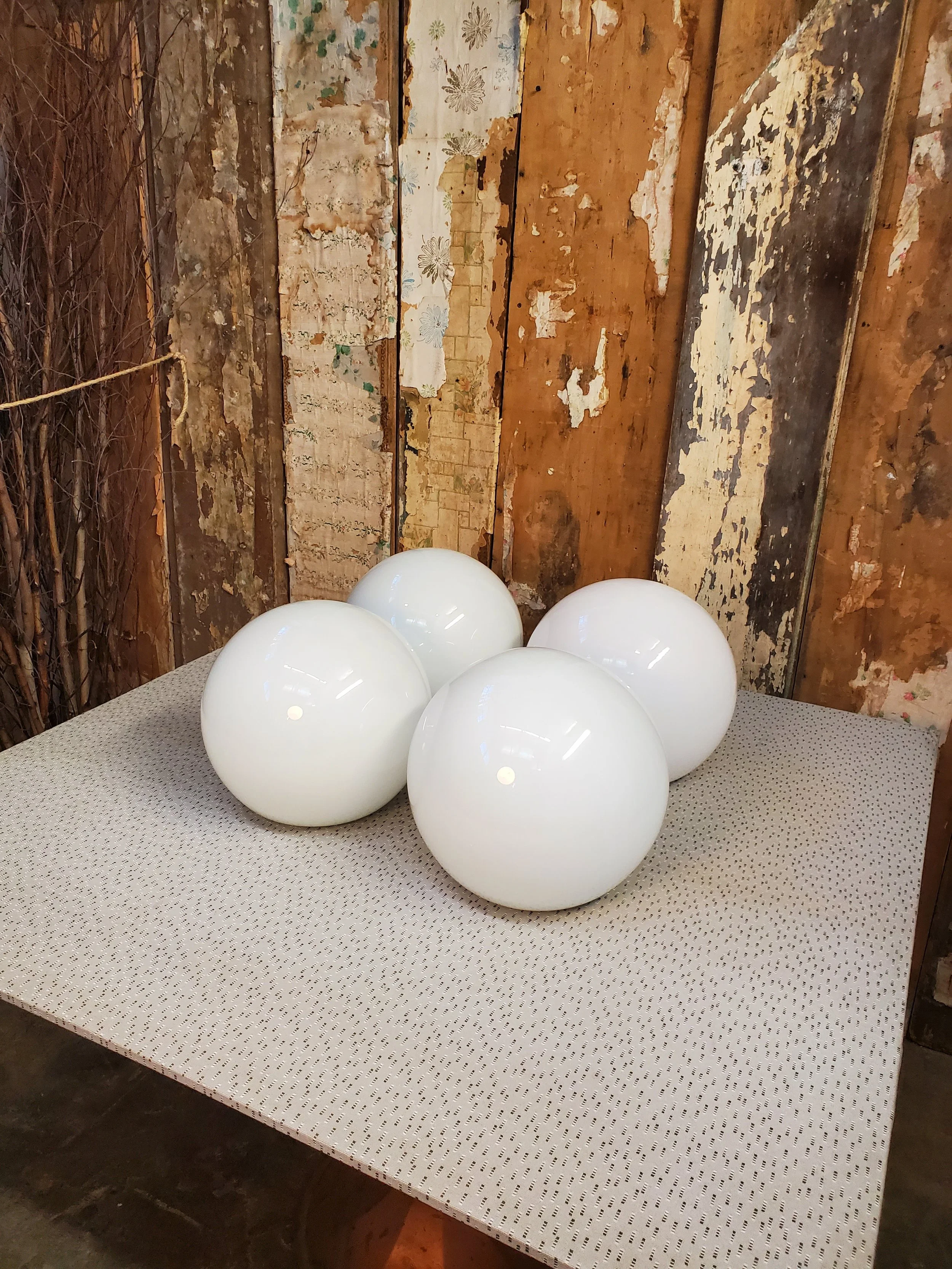 2026-02-24 14.43.33.jpg