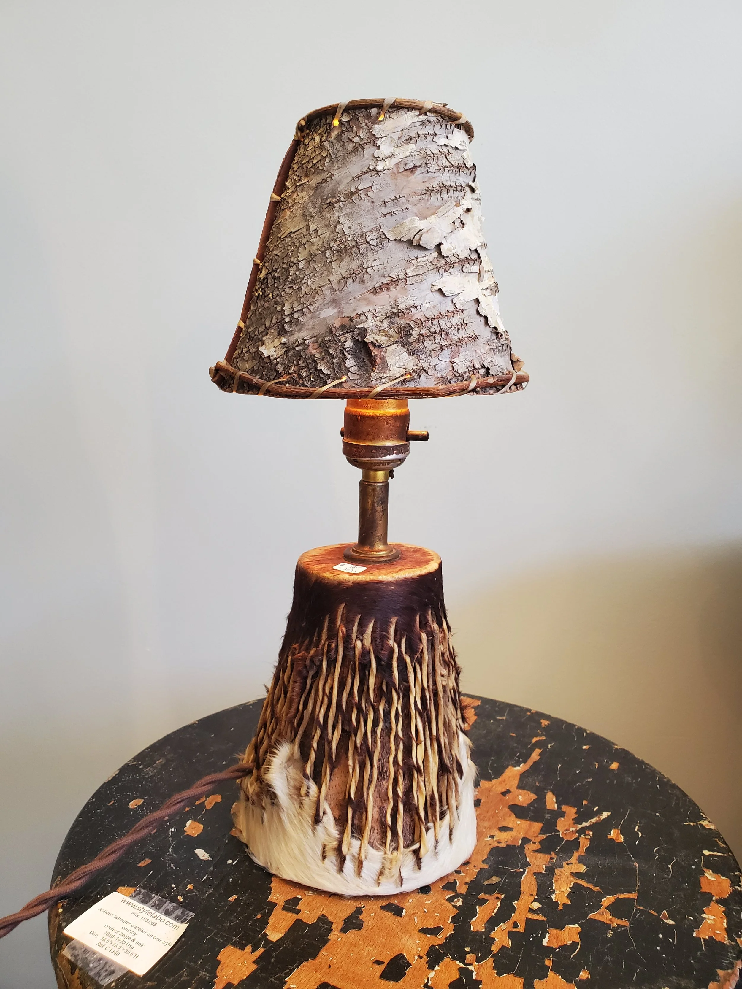 2026-02-15 12.40.14.jpg (copie)