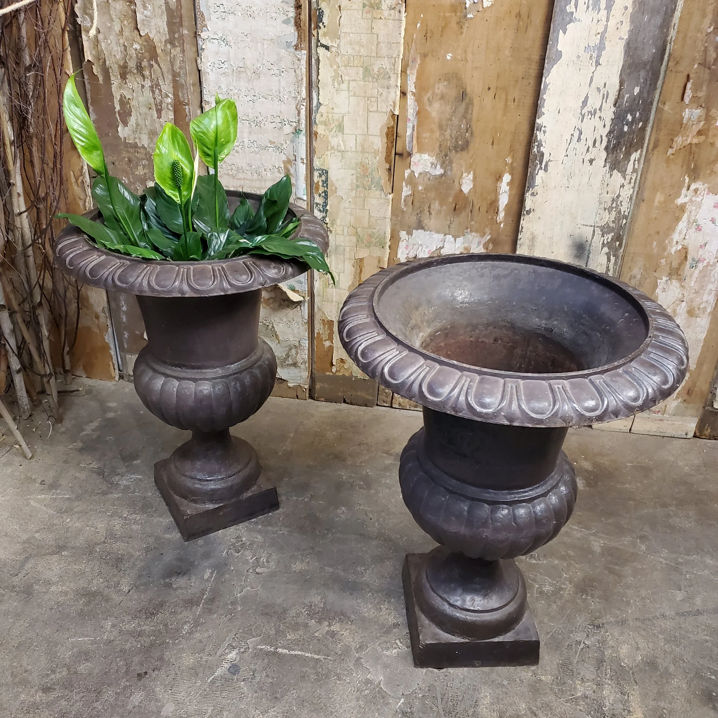 2025-05-26 16.41.25.jpg