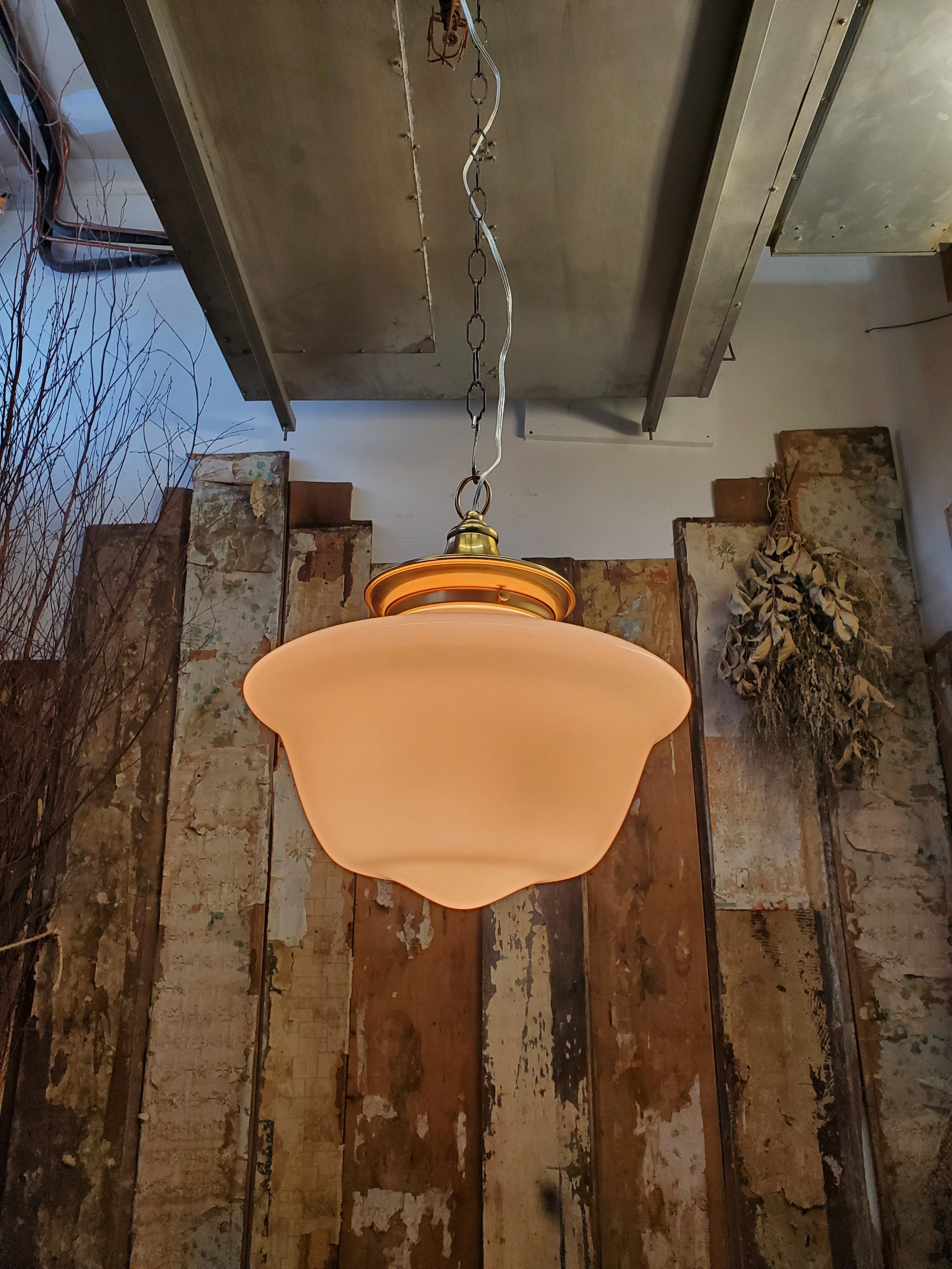 2026-02-19 12.19.33.jpg (copie)