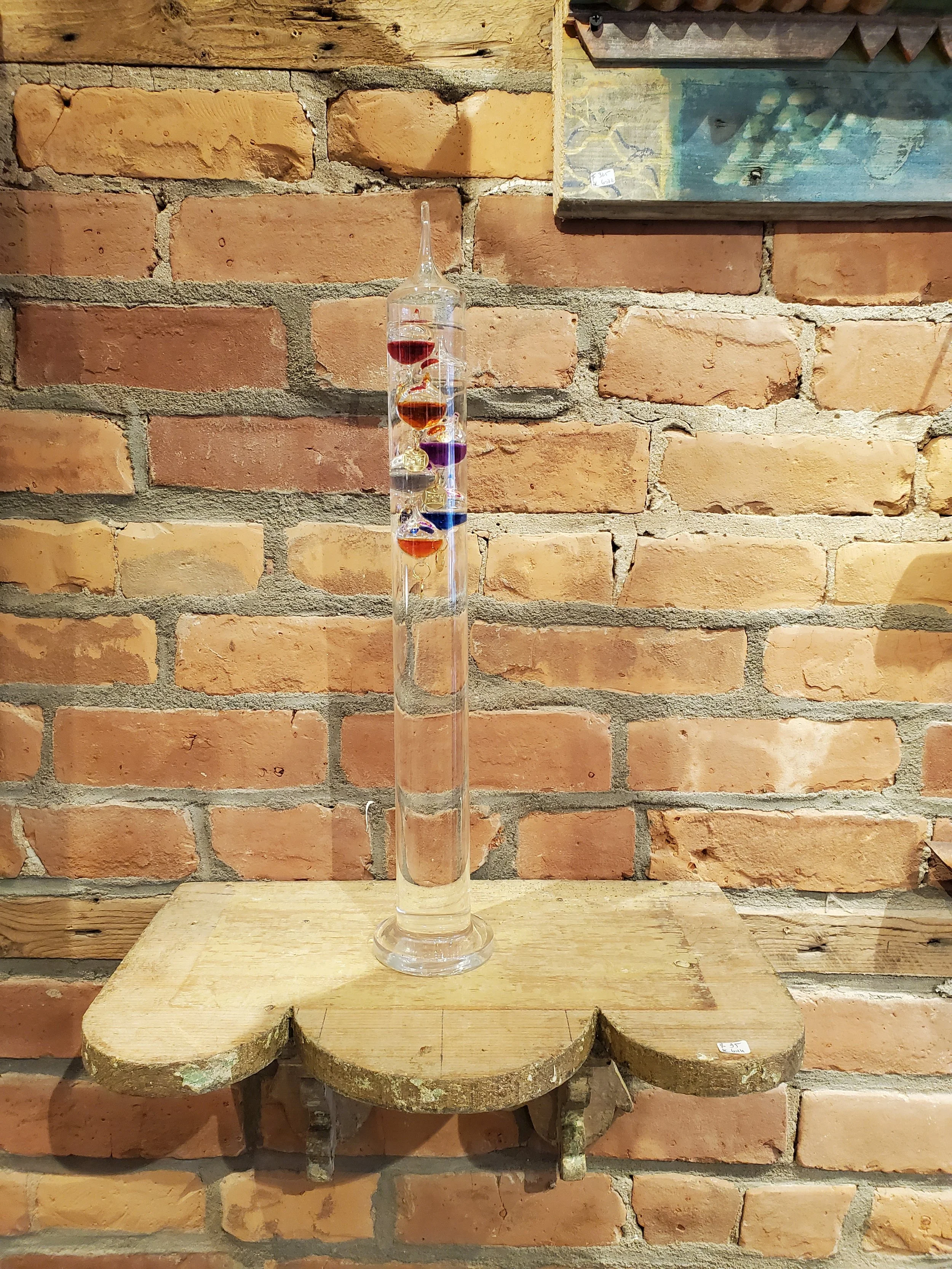 2026-02-11 11.46.18.jpg