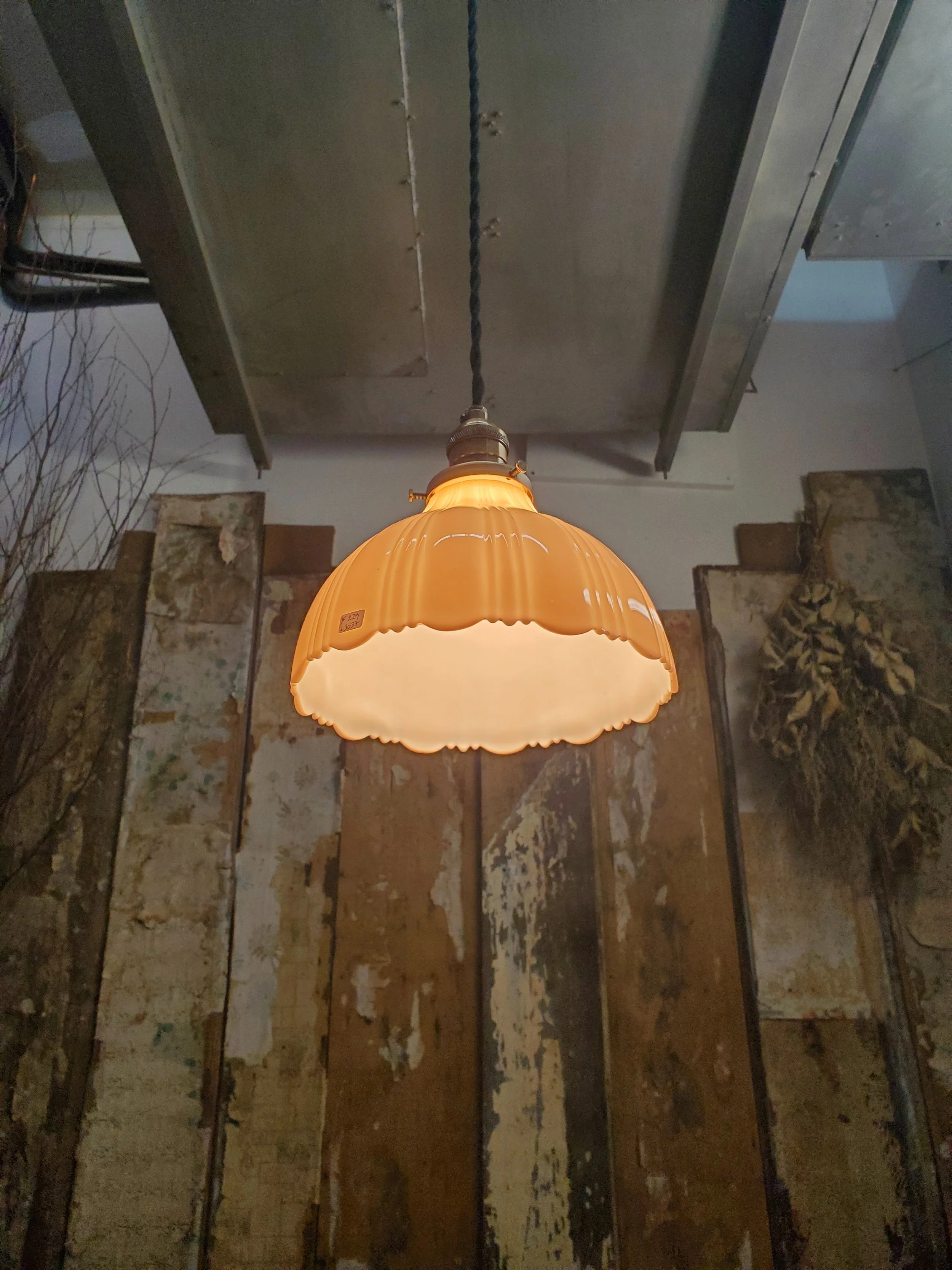 2025-12-01 15.55.41.jpg