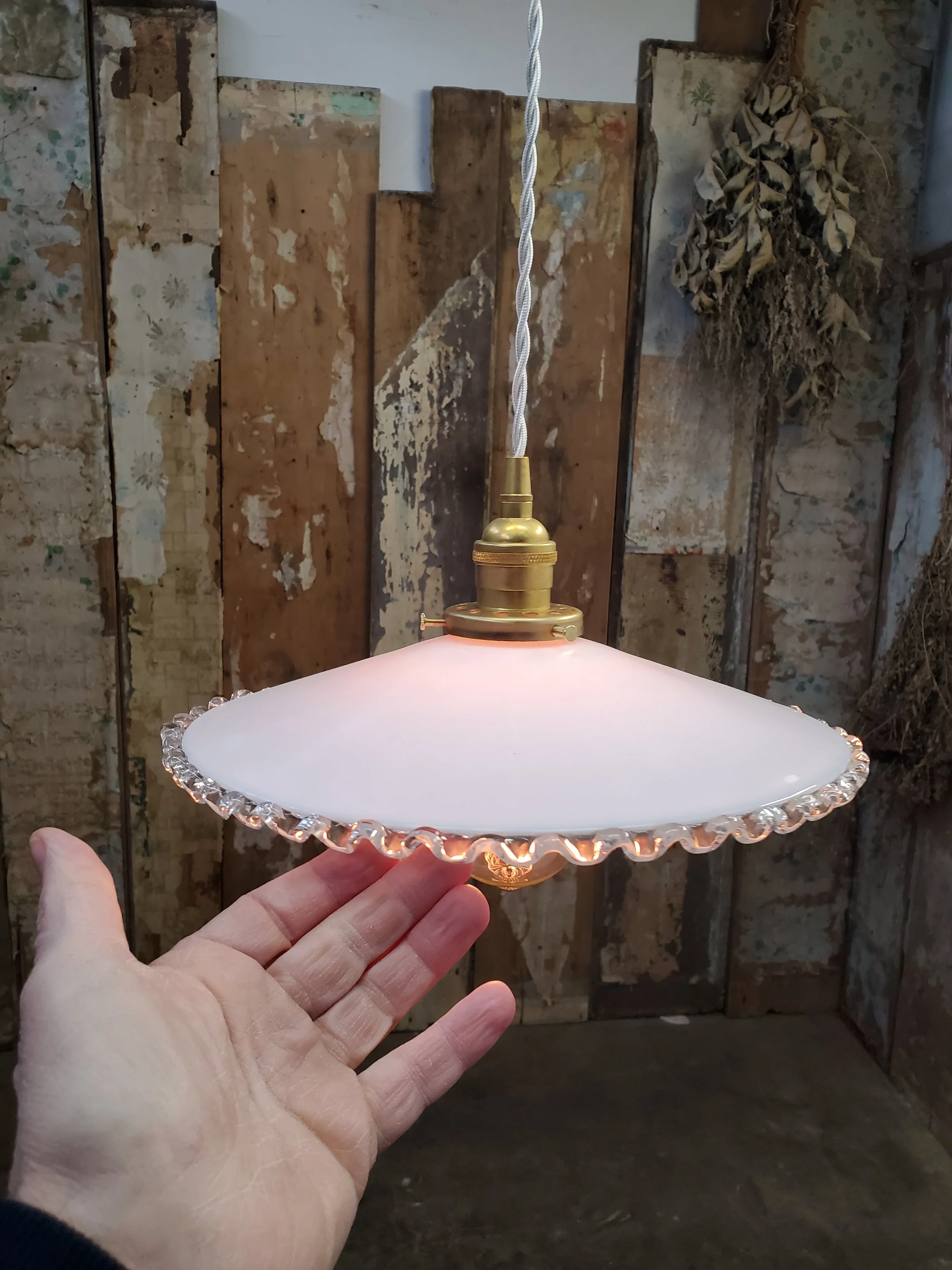 2026-02-18 14.39.18.jpg