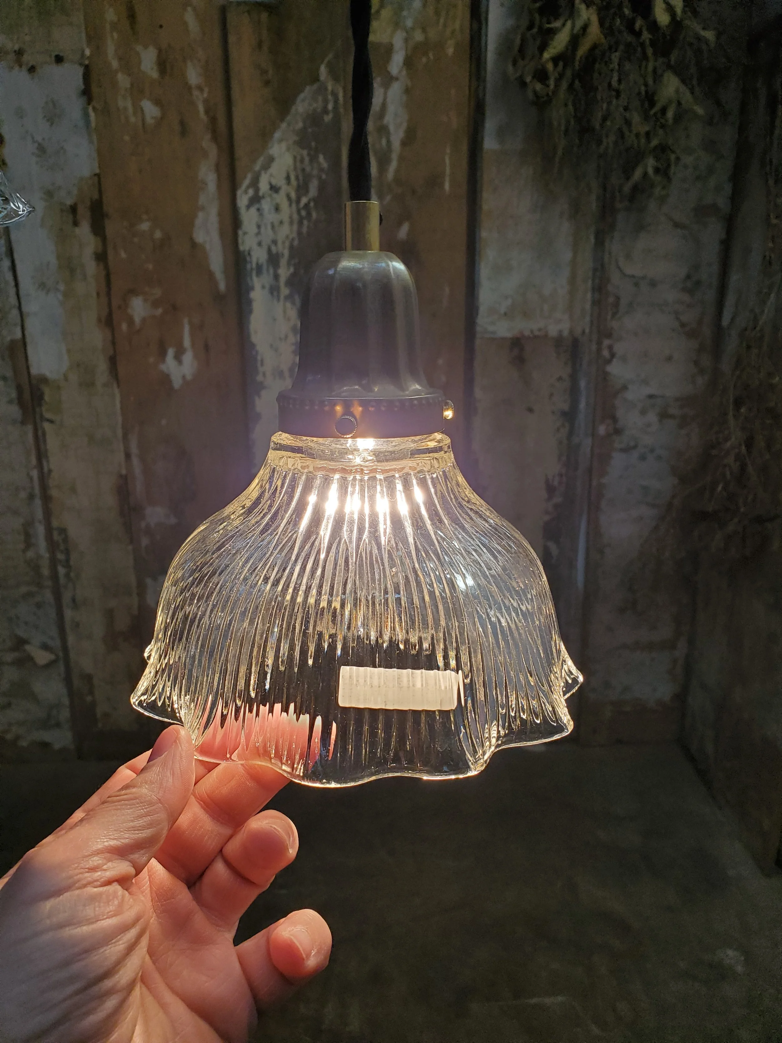 2026-04-18 18.03.16.jpg (copie)