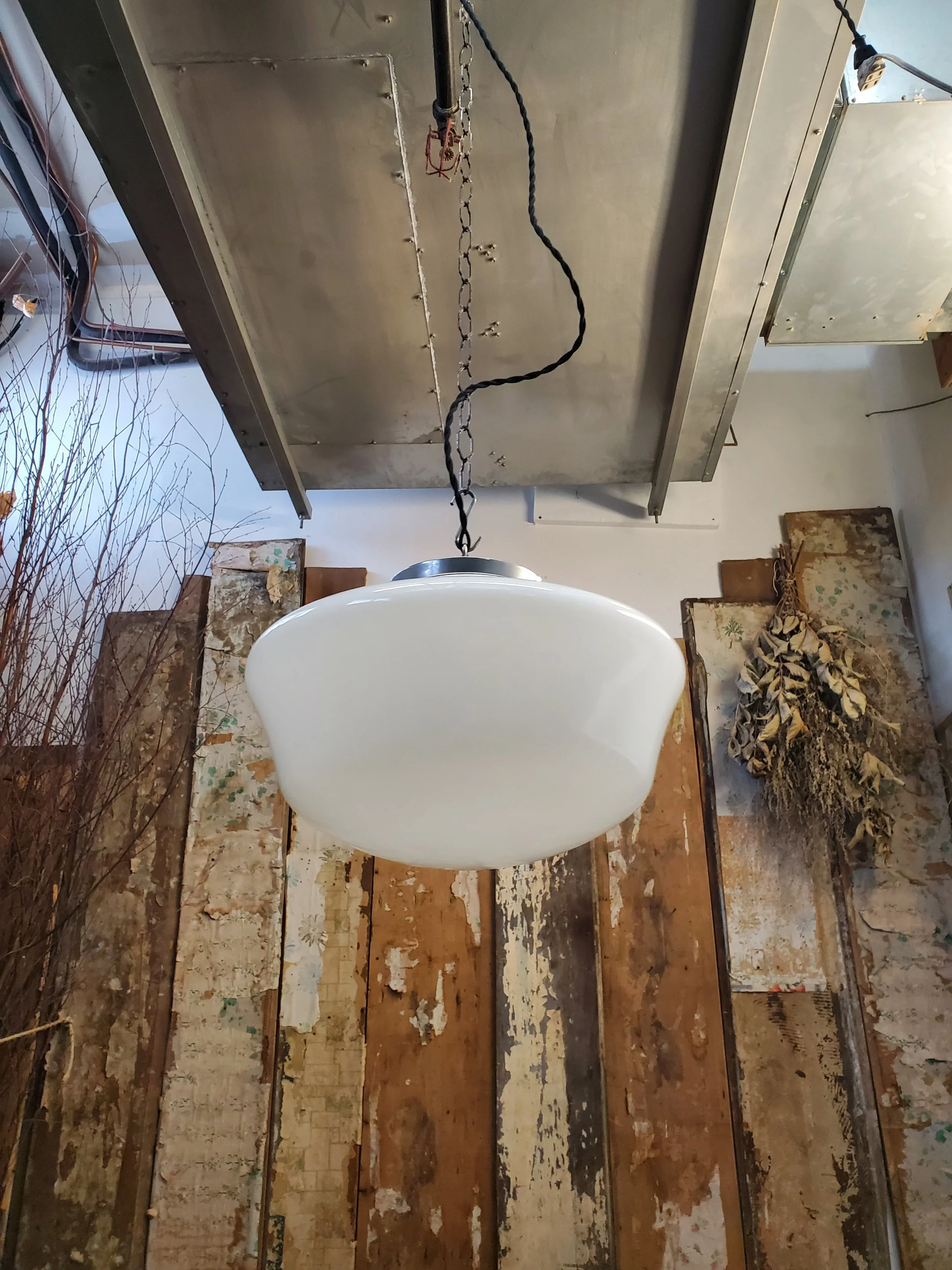 2026-02-19 12.32.23.jpg (copie)