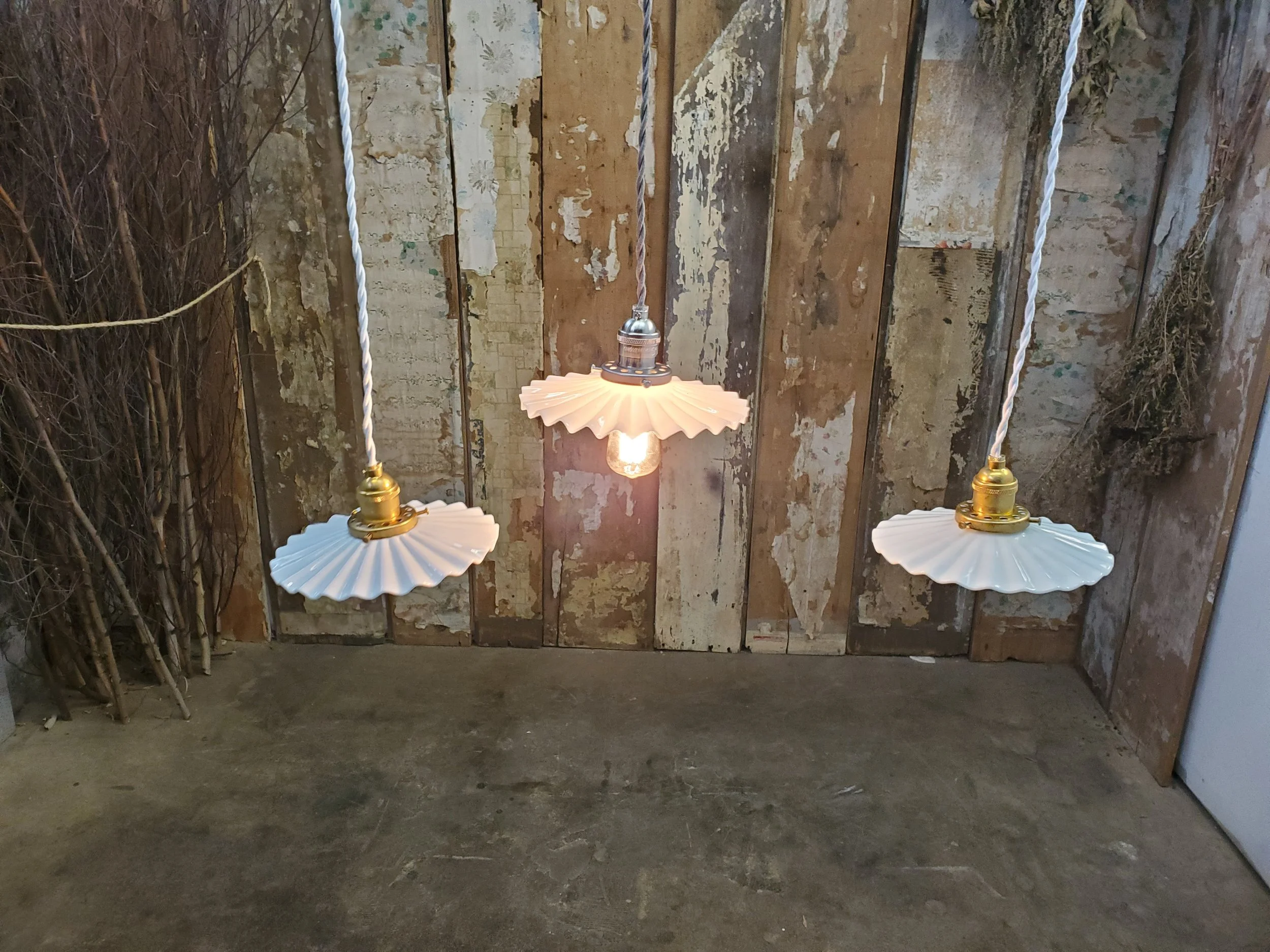 2026-02-16 13.51.01.jpg