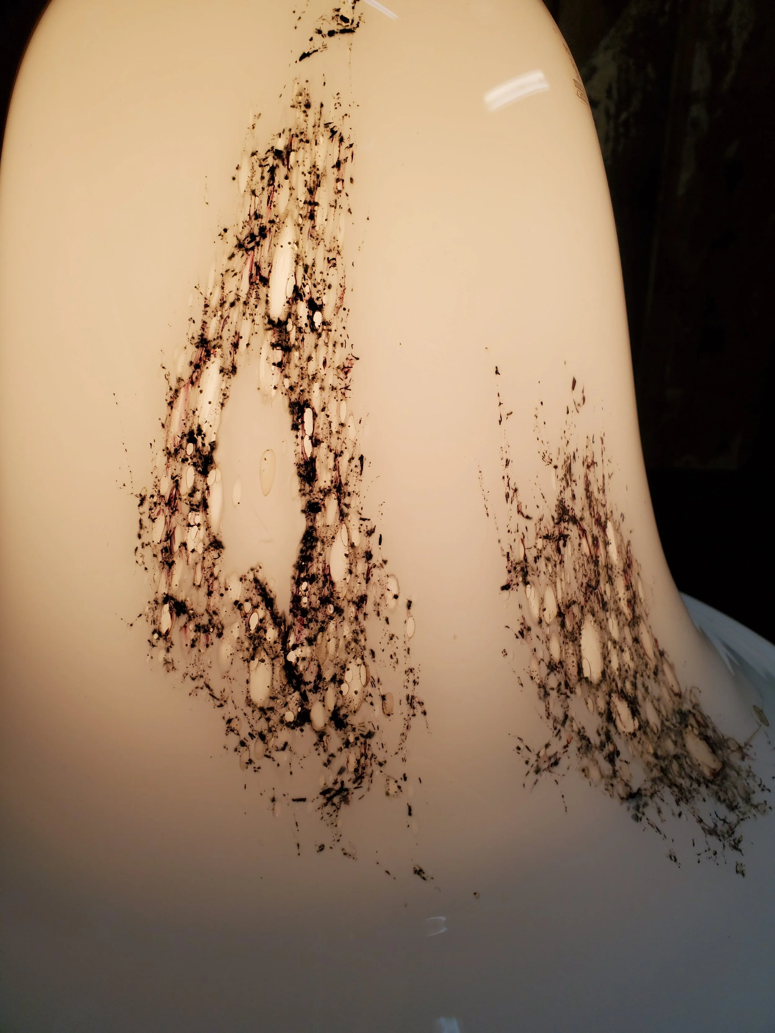 2025-12-24 16.05.23.jpg