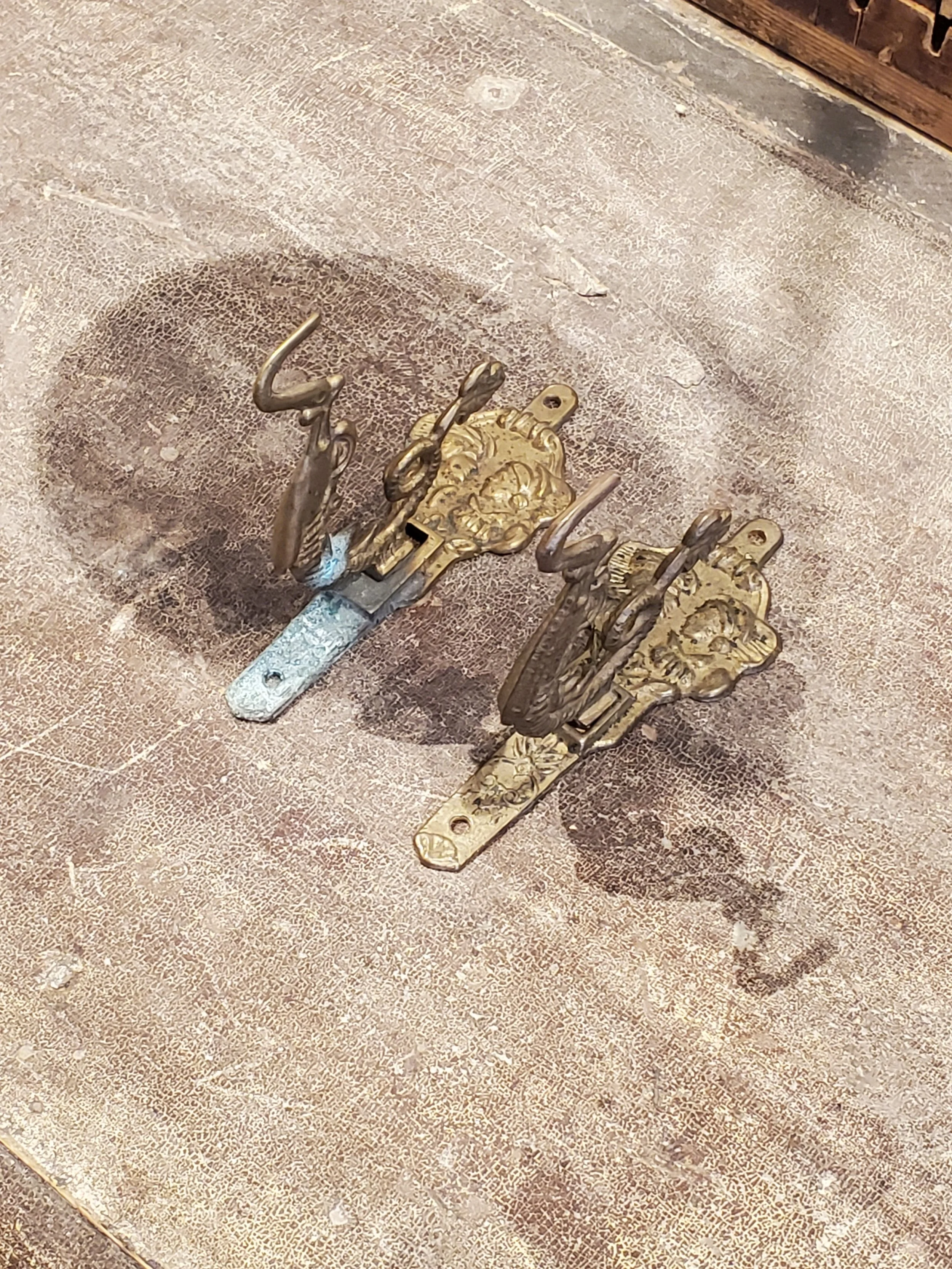 2026-02-13 11.21.50.jpg