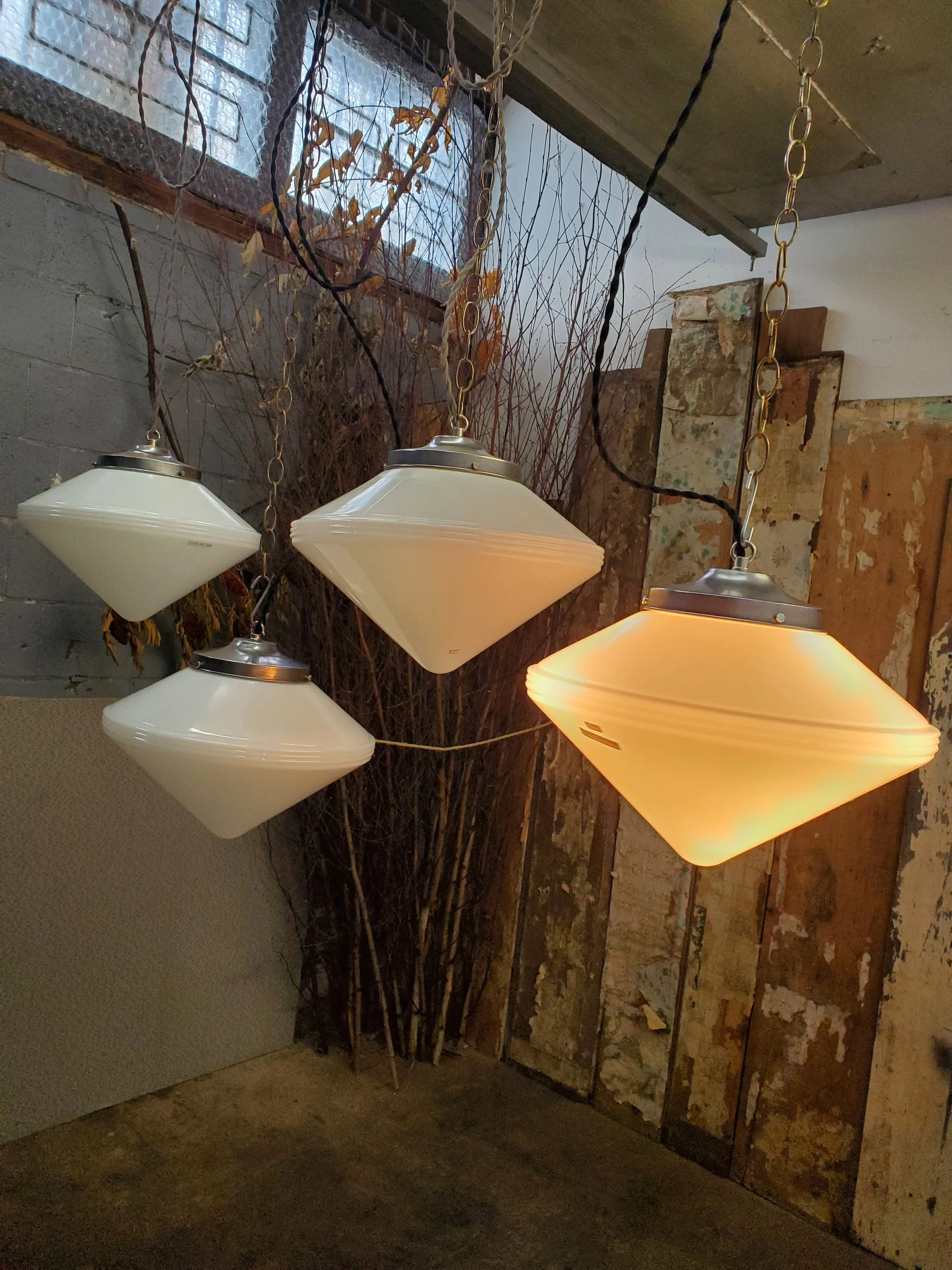 2026-02-20 13.02.58.jpg