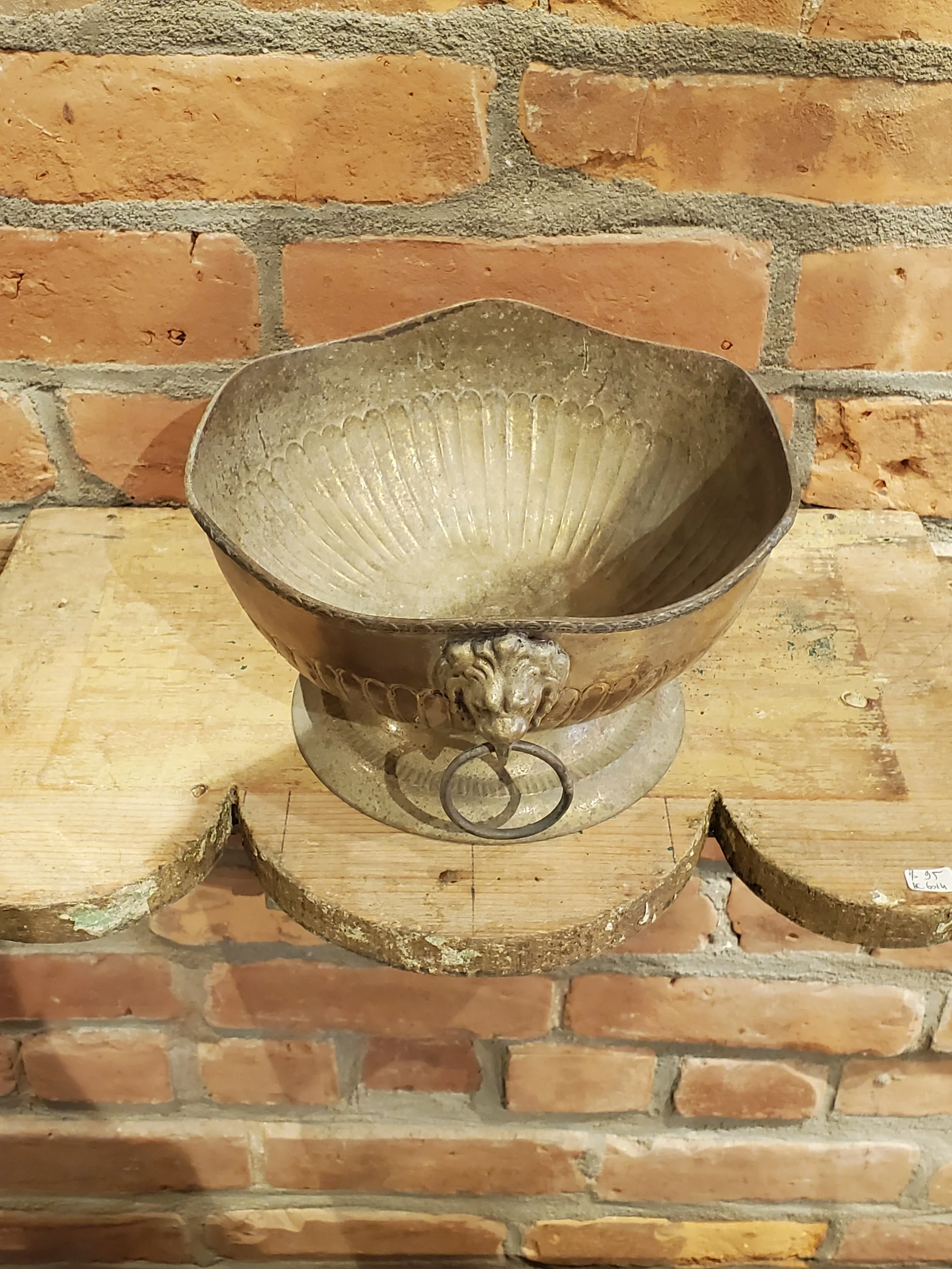 2026-02-11 12.30.14.jpg