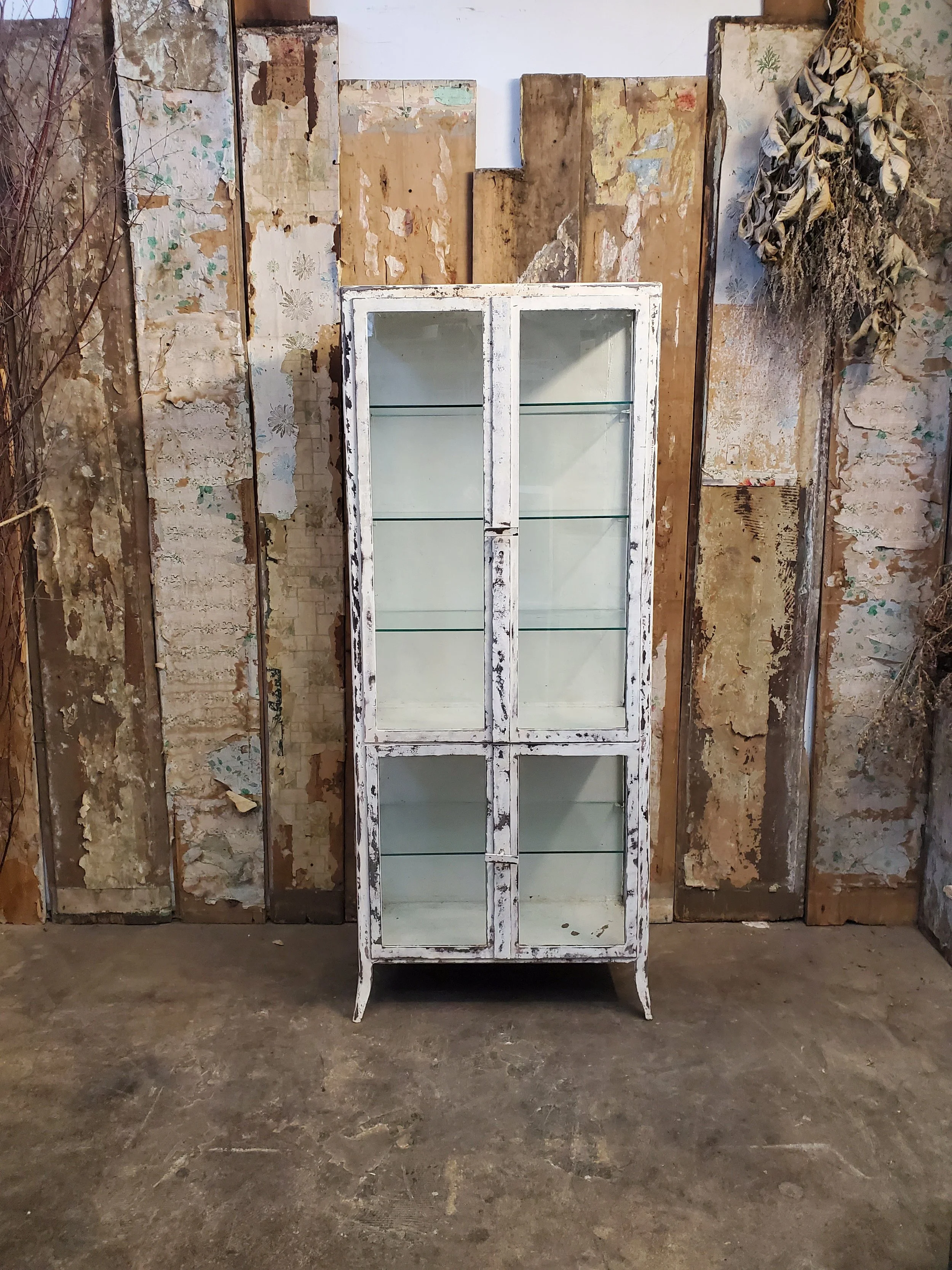 2026-02-09 10.14.30.jpg