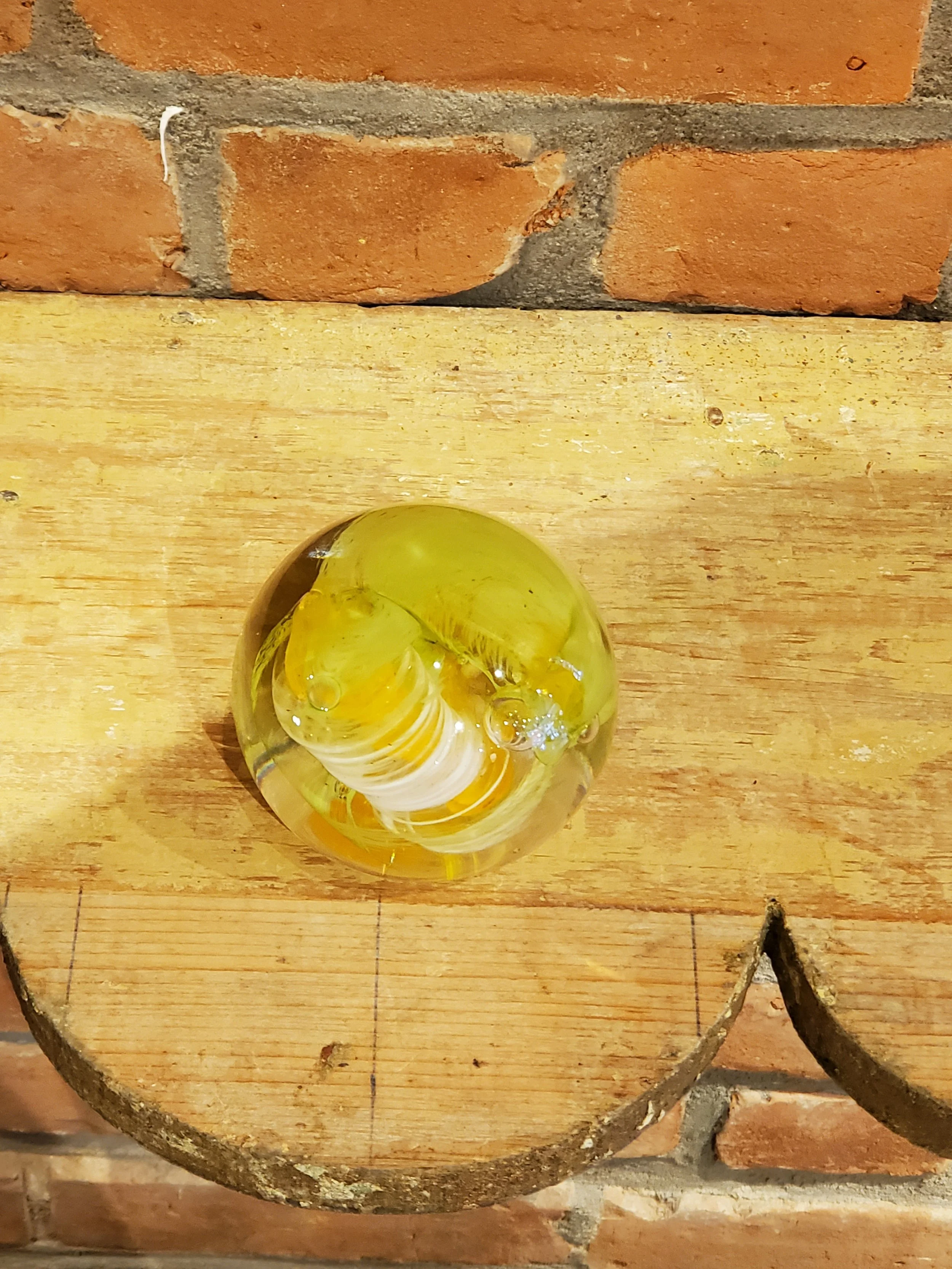 2026-02-11 11.49.53.jpg