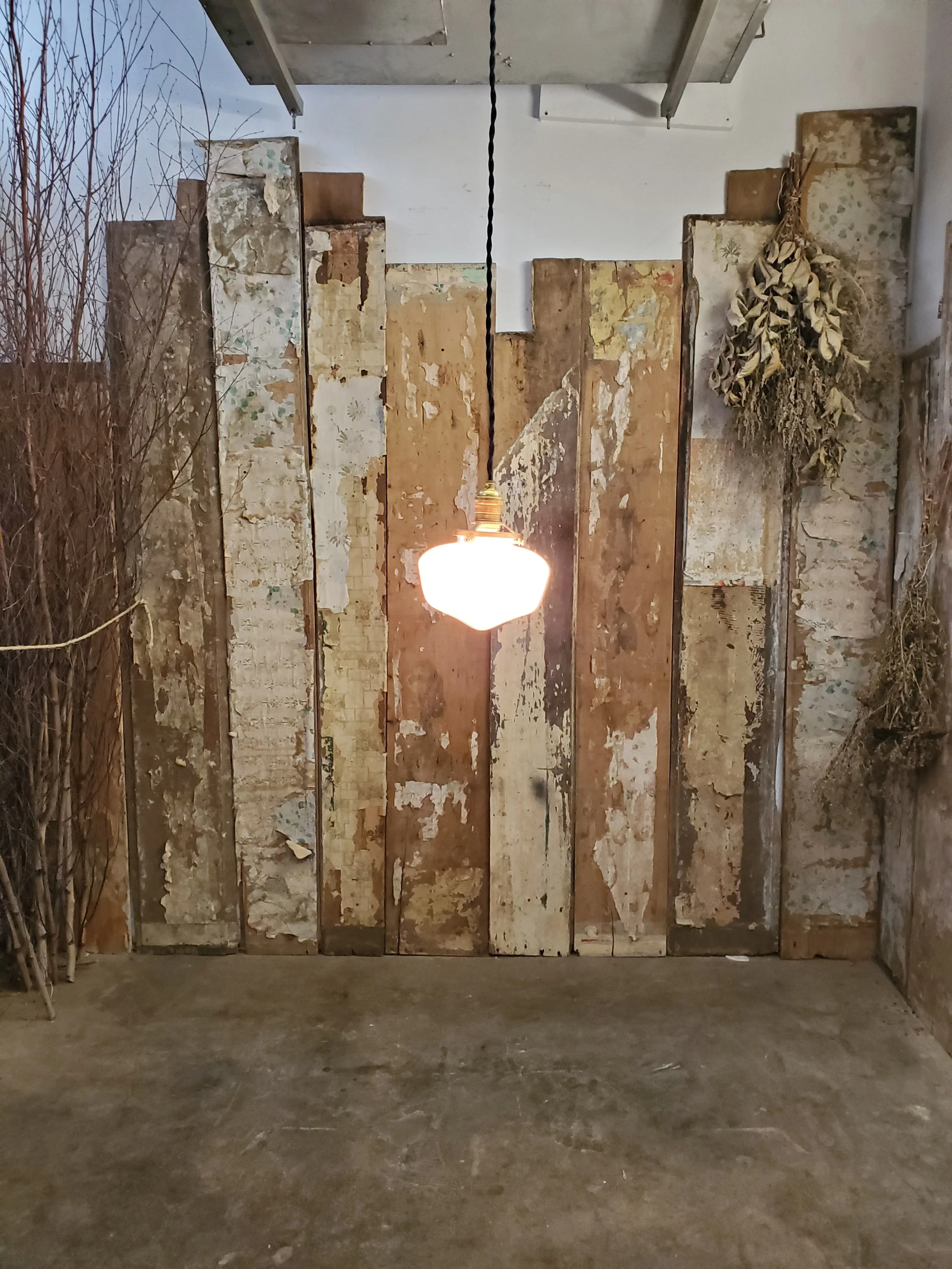 2026-02-17 10.07.27.jpg