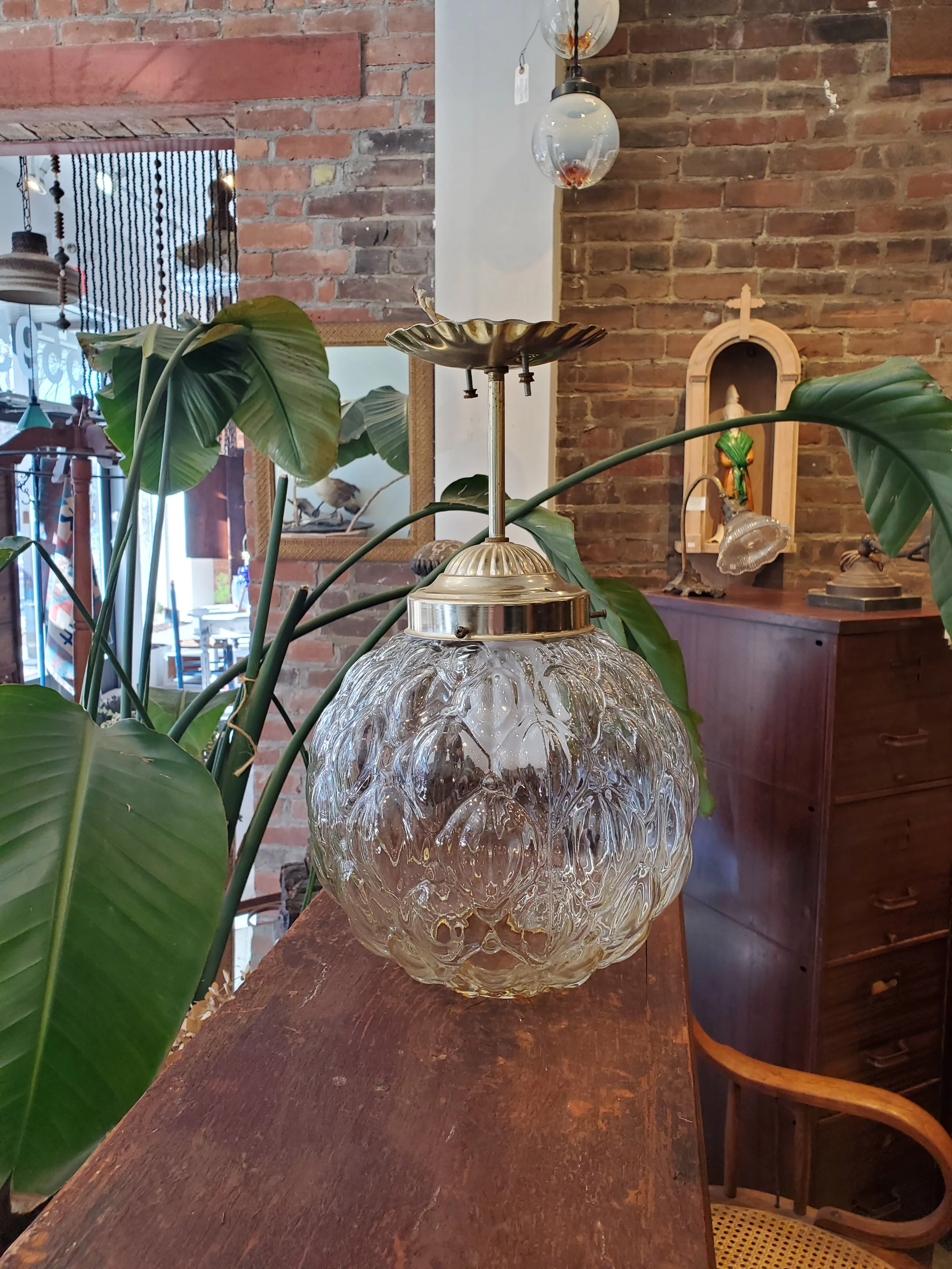 2026-02-15 11.59.23.jpg (copie)