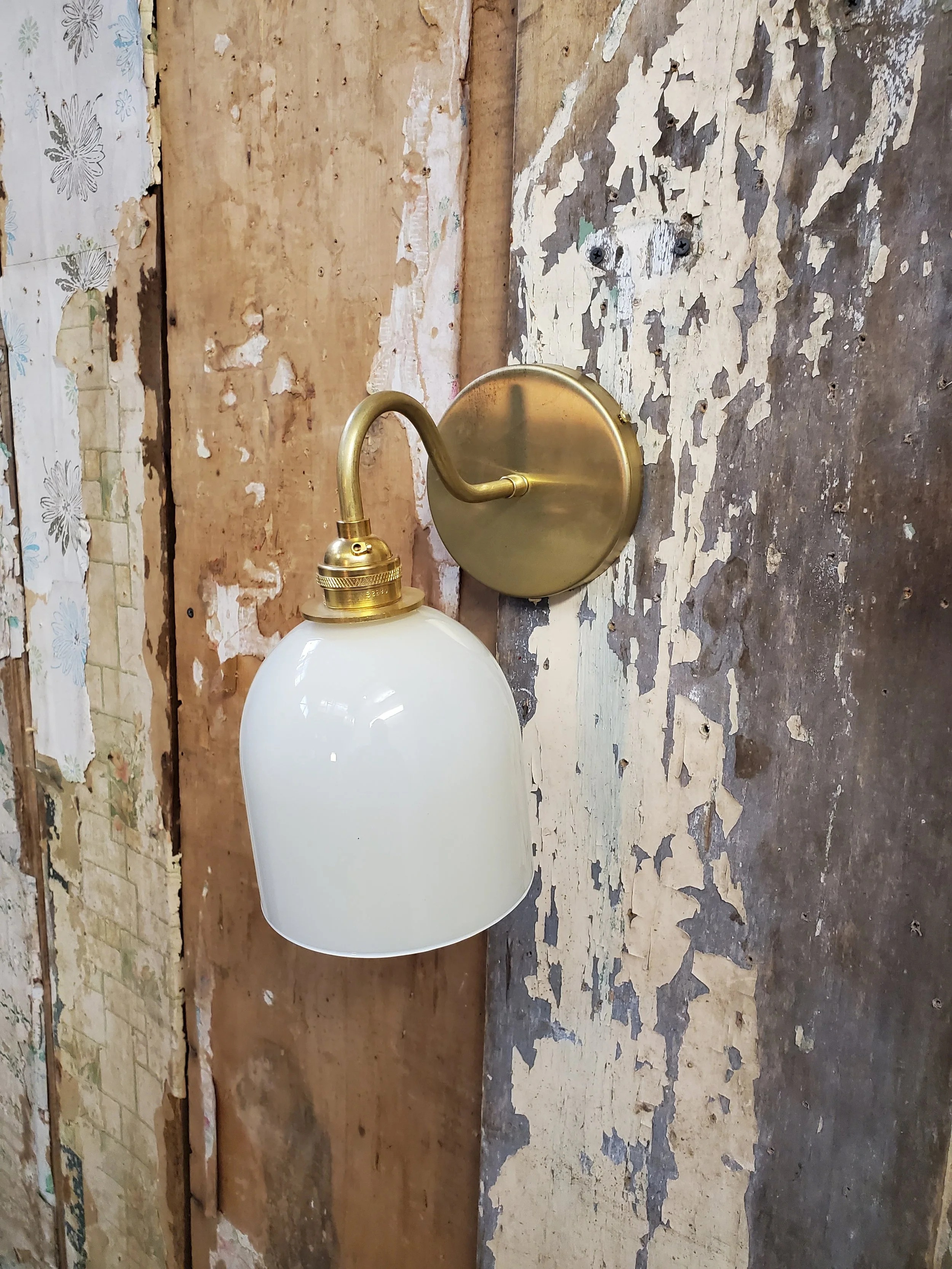 2026-03-08 12.03.51.jpg