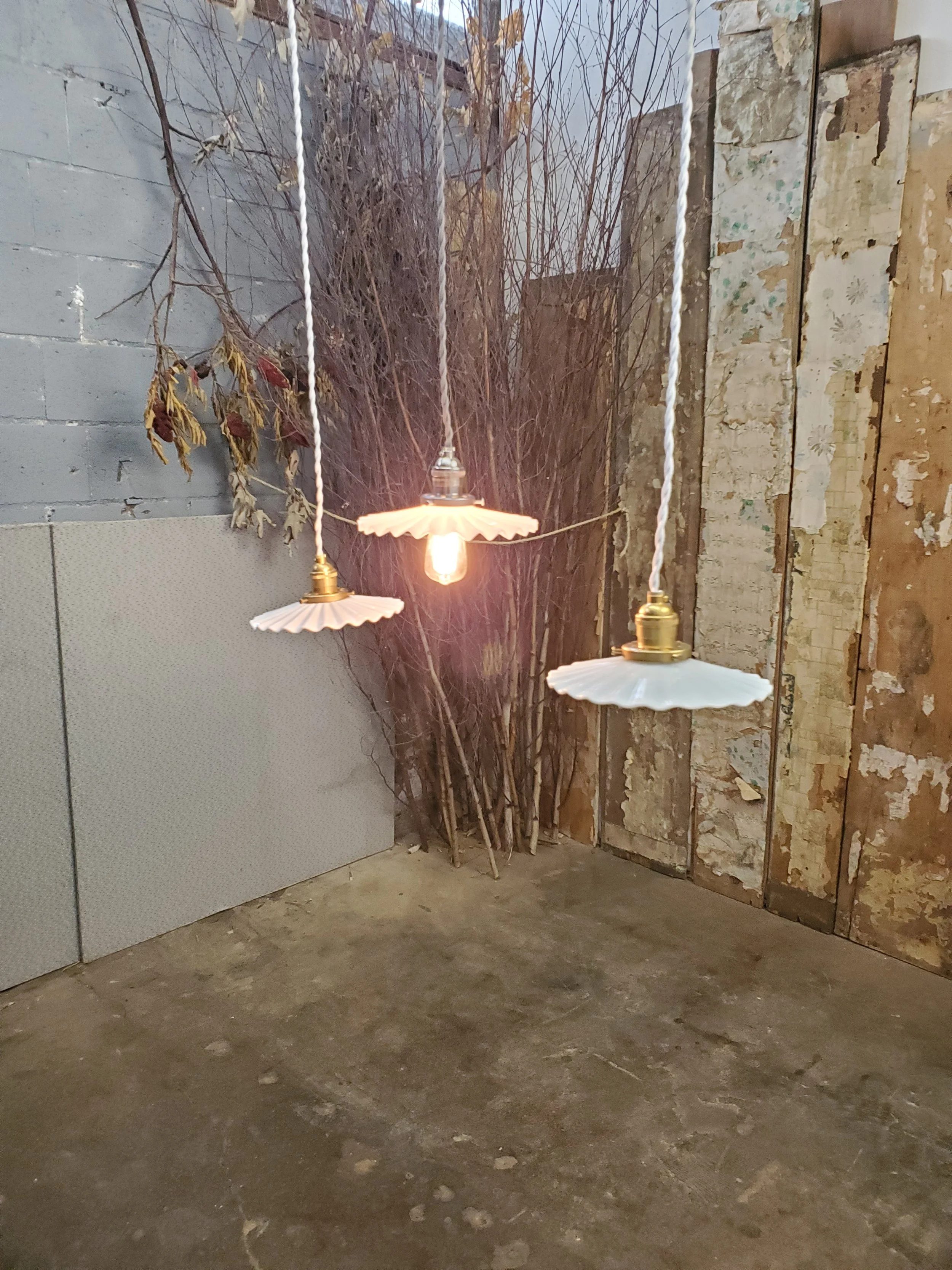 2026-02-16 13.50.17.jpg