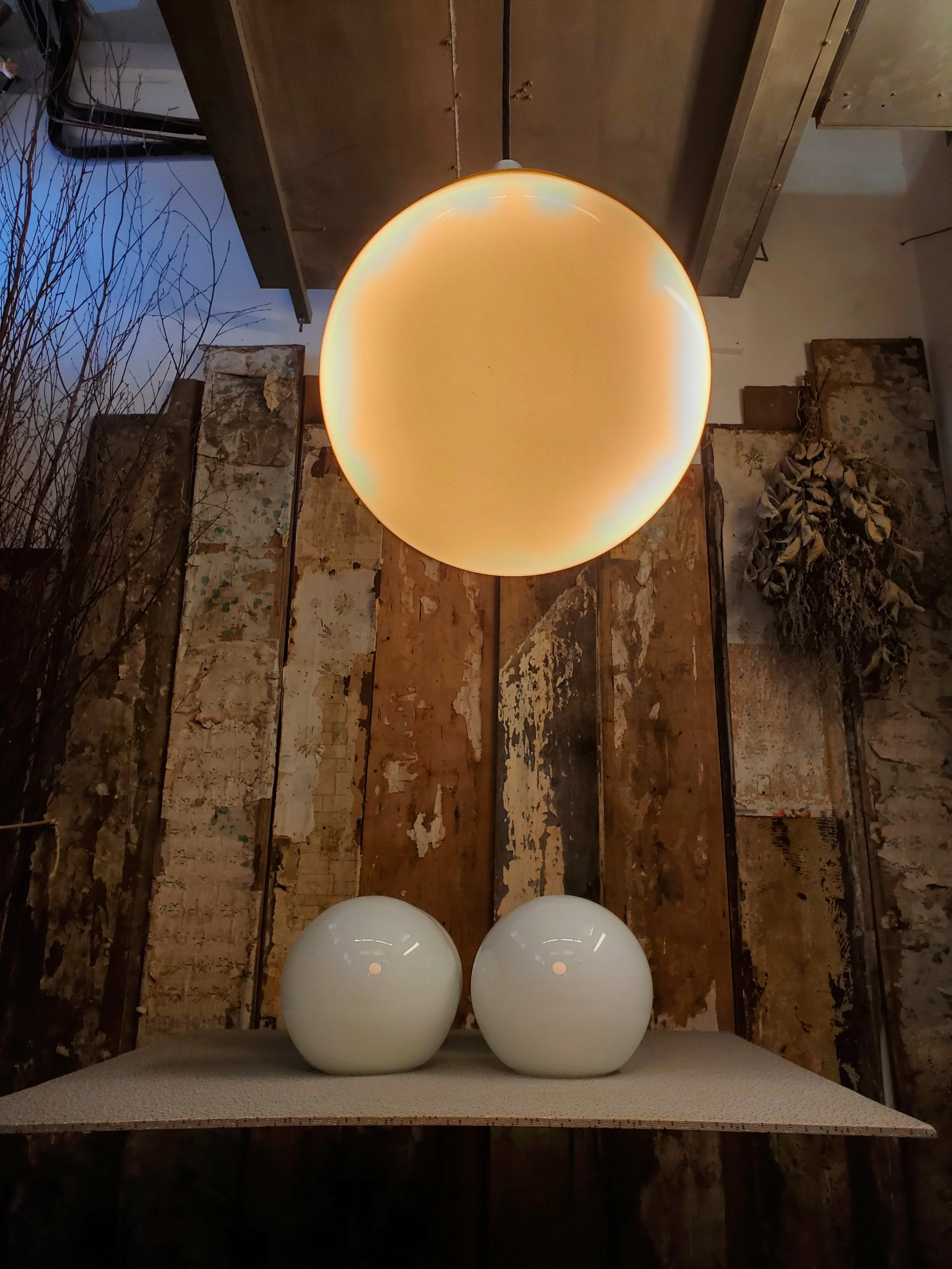 2026-02-24 14.44.29.jpg