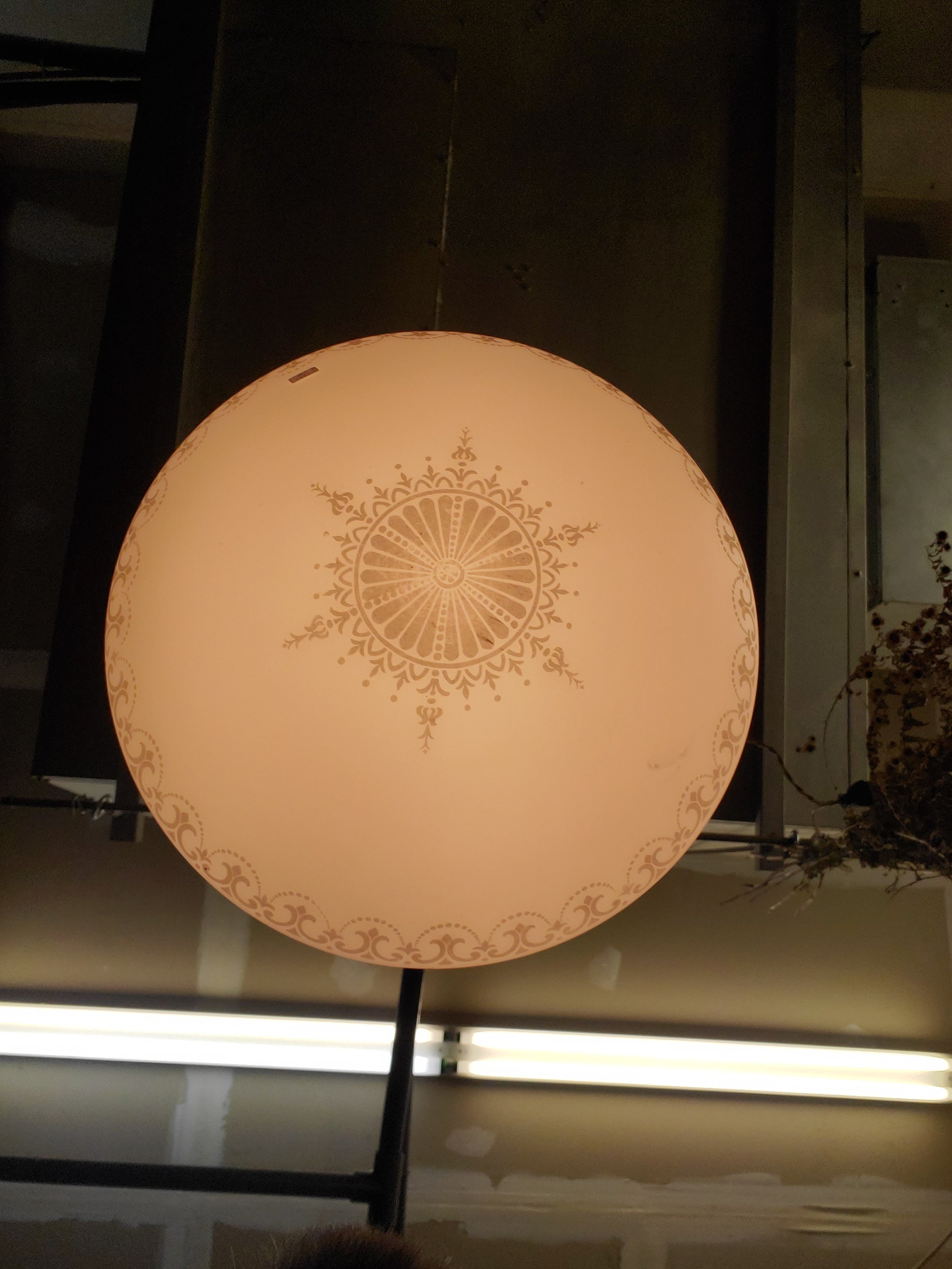 2025-05-07 12.13.41.jpg