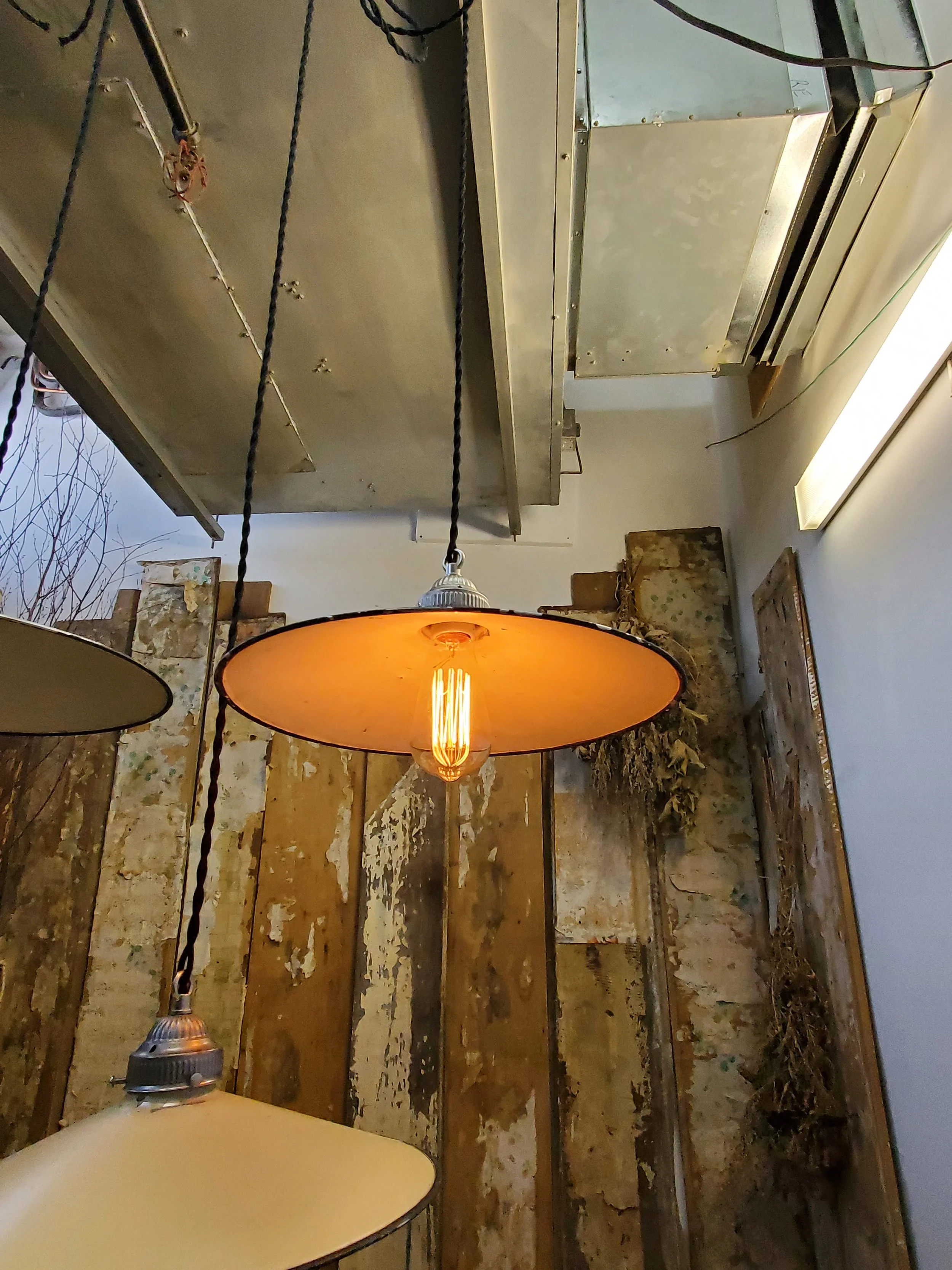 2026-02-21 10.57.50.jpg