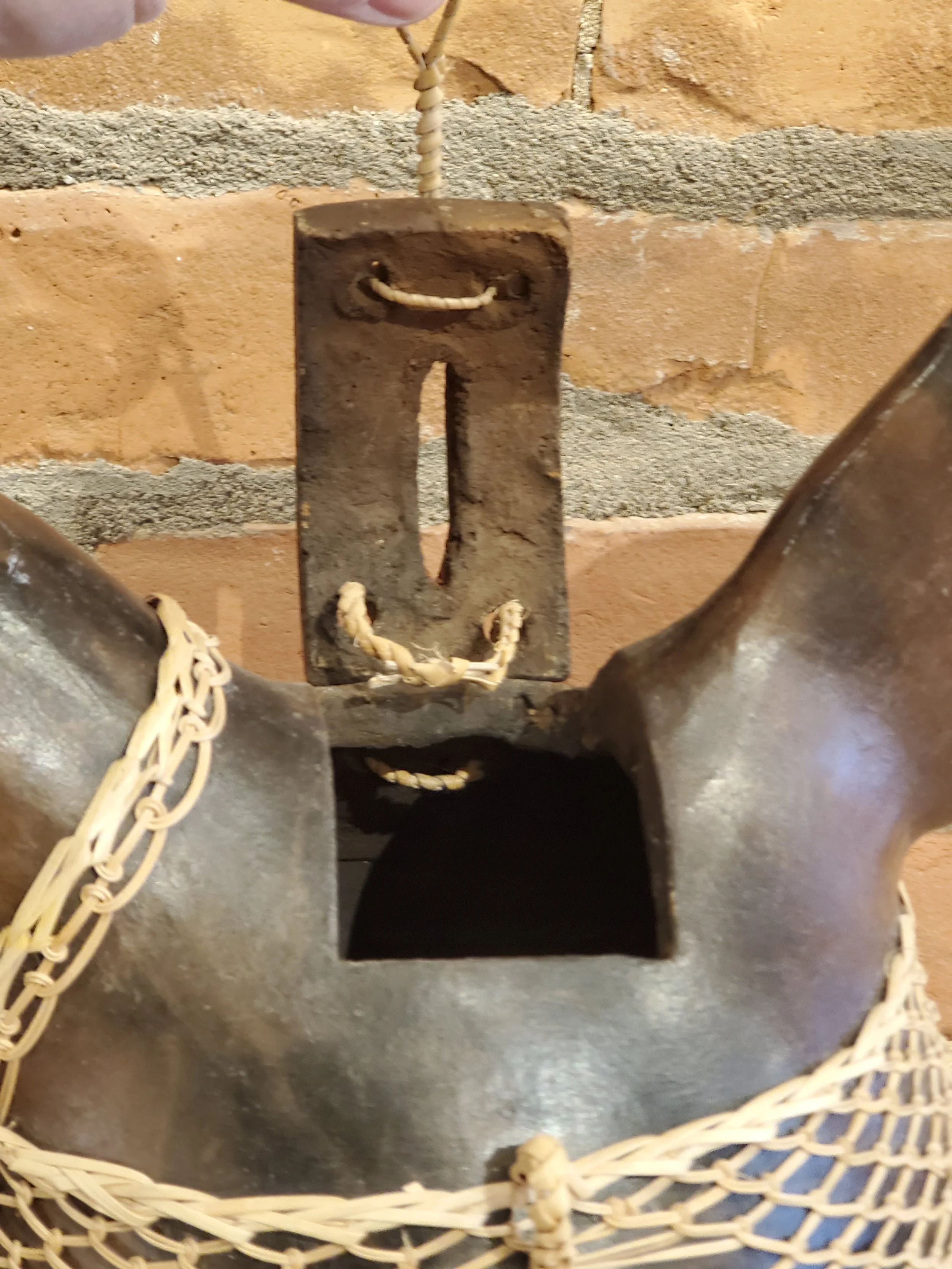 2026-02-11 11.56.22.jpg (copie)