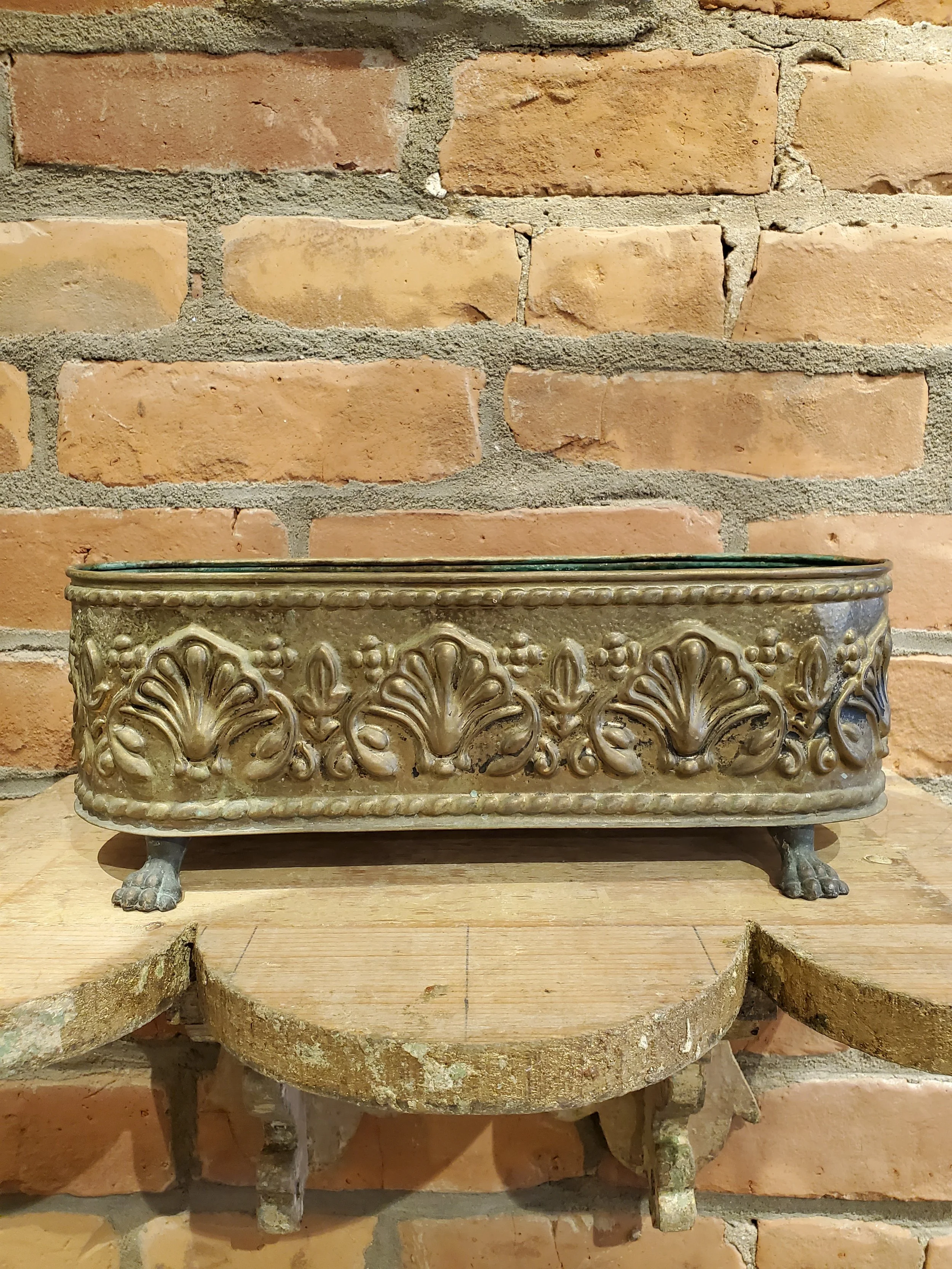 2026-02-11 12.21.32.jpg