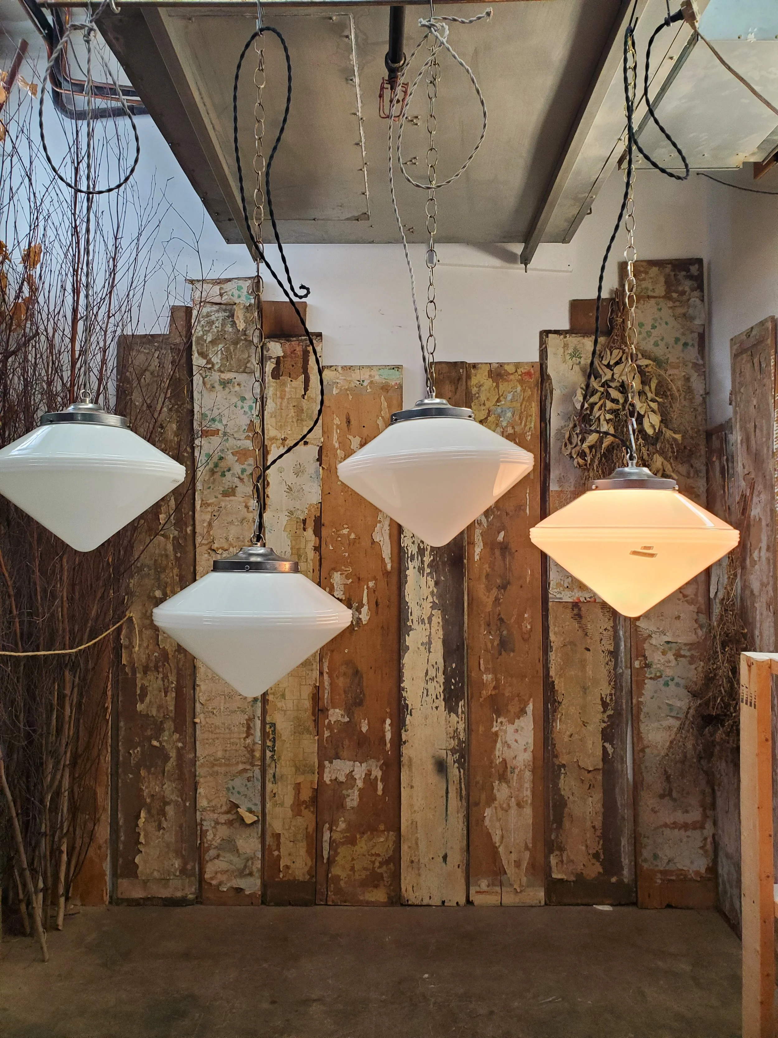 2026-02-20 13.02.50.jpg