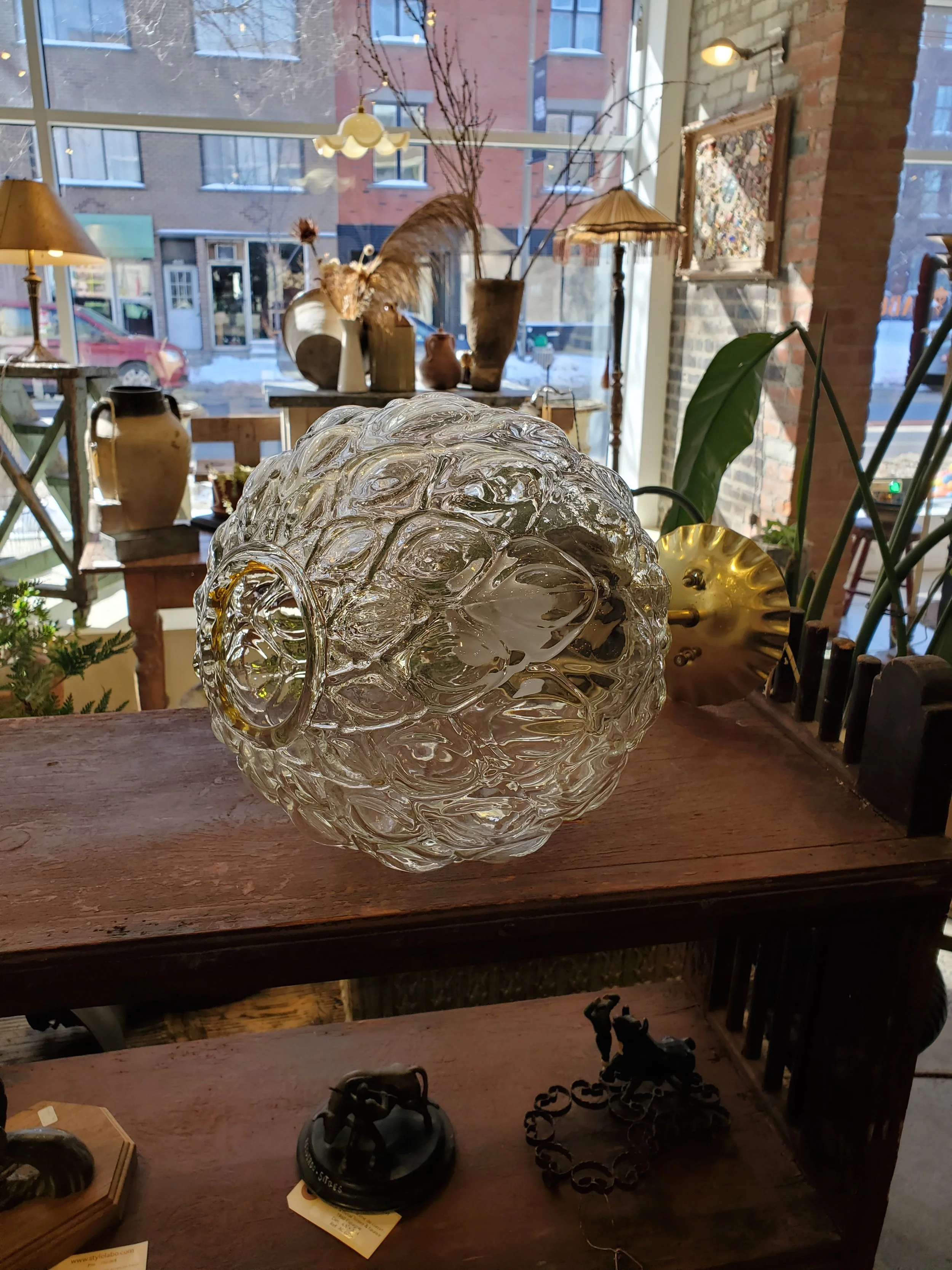 2026-02-15 11.59.35.jpg (copie)