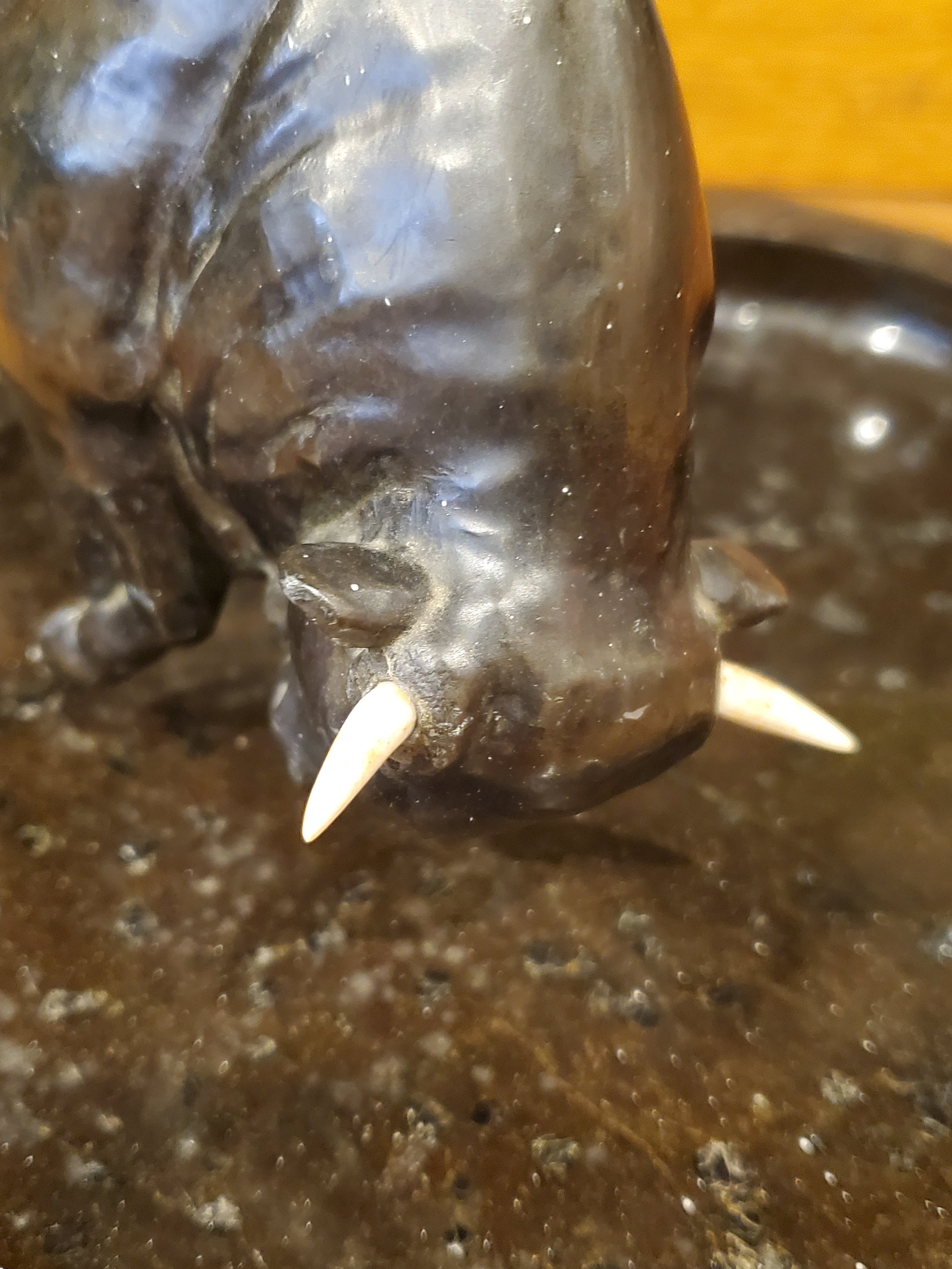 2026-03-28 12.05.54.jpg