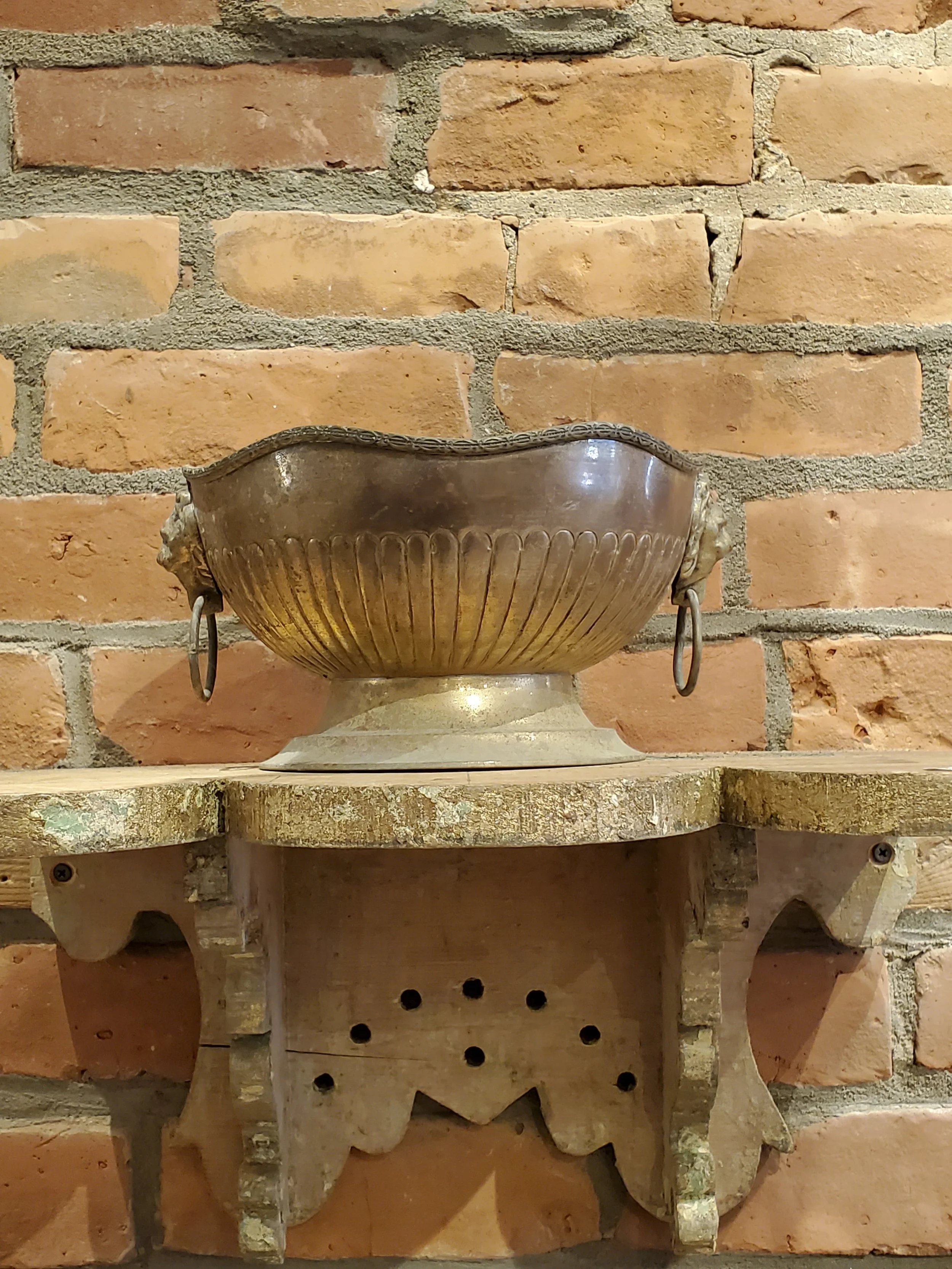 2026-02-11 12.30.26.jpg