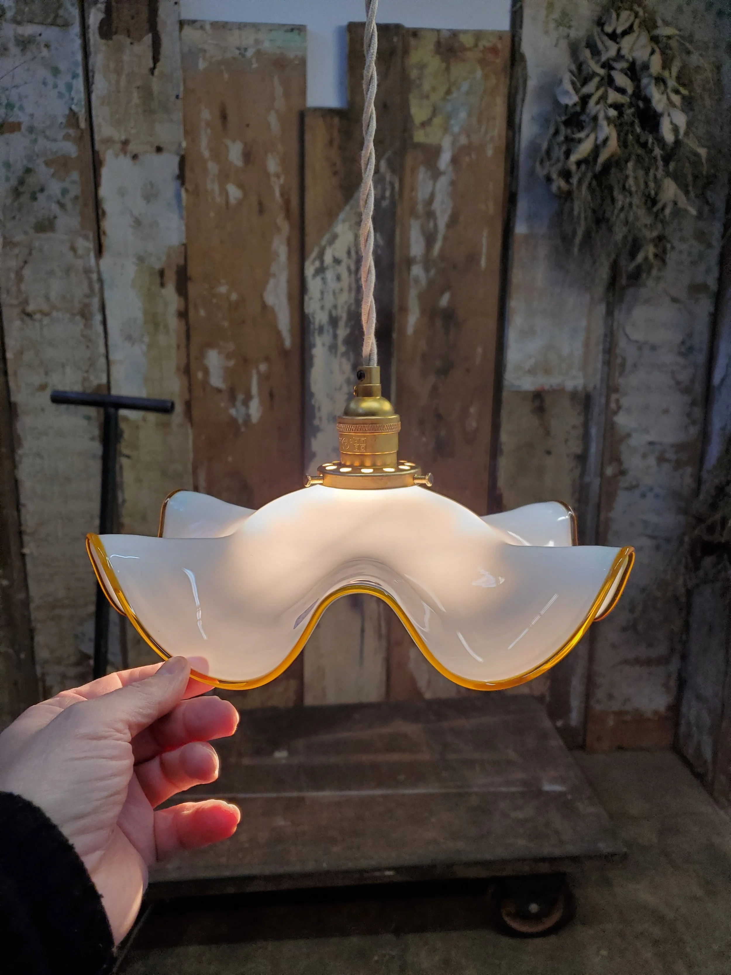 2026-01-23 15.11.11.jpg