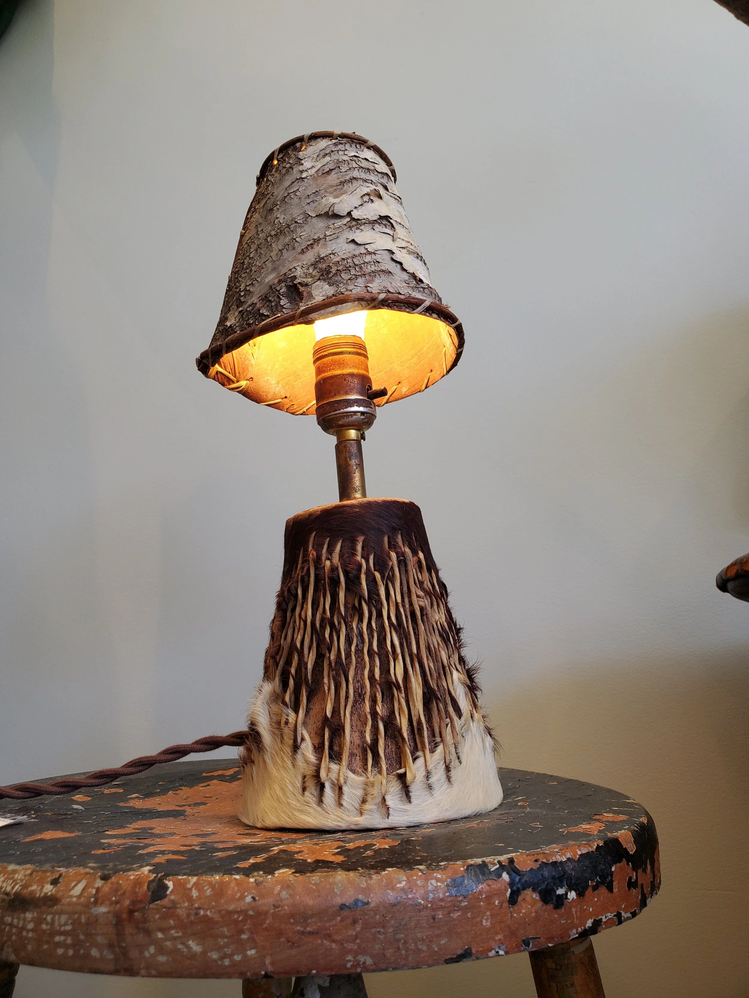 2026-02-15 12.39.48.jpg (copie)