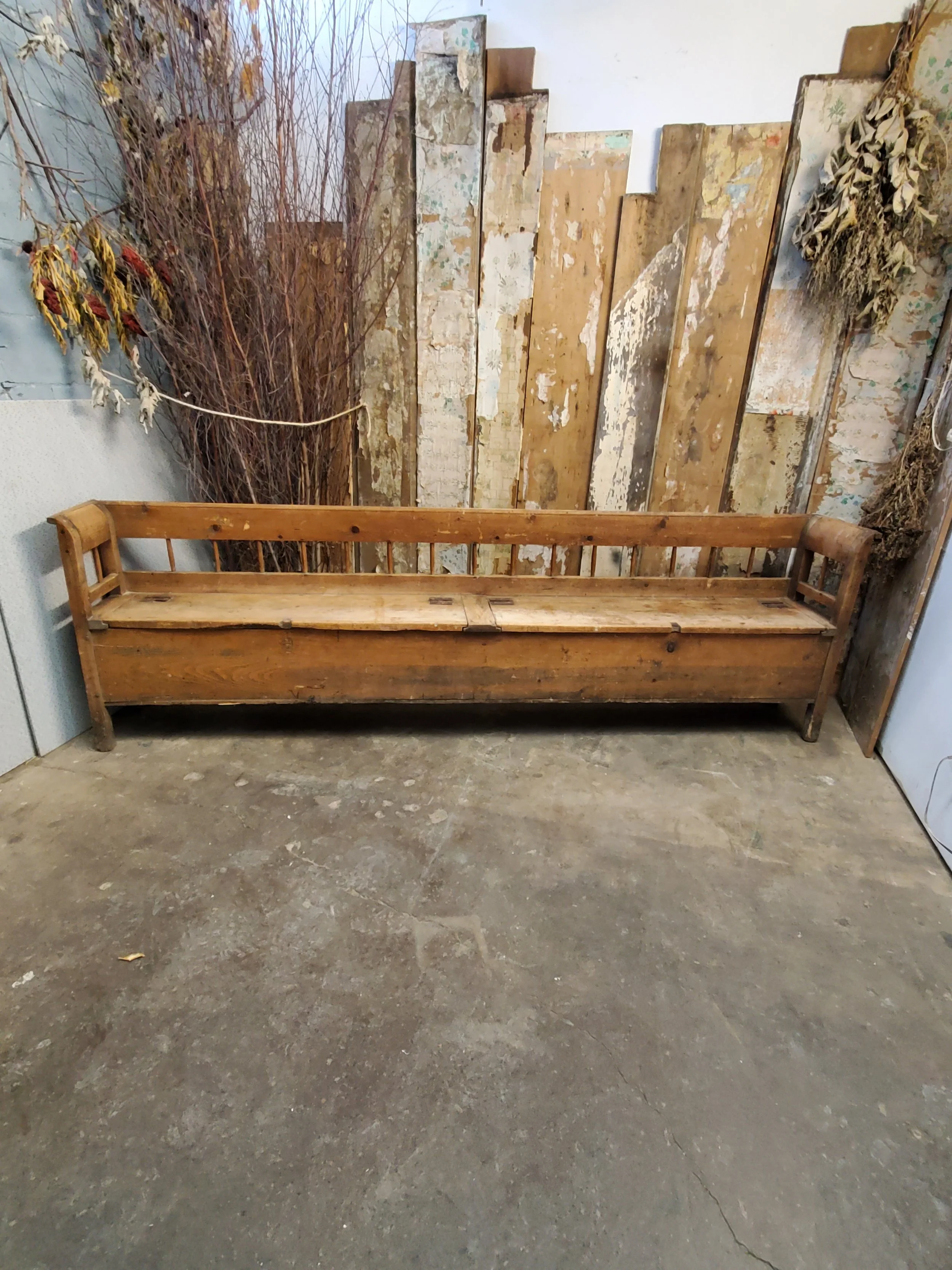 2026-02-09 15.55.53.jpg