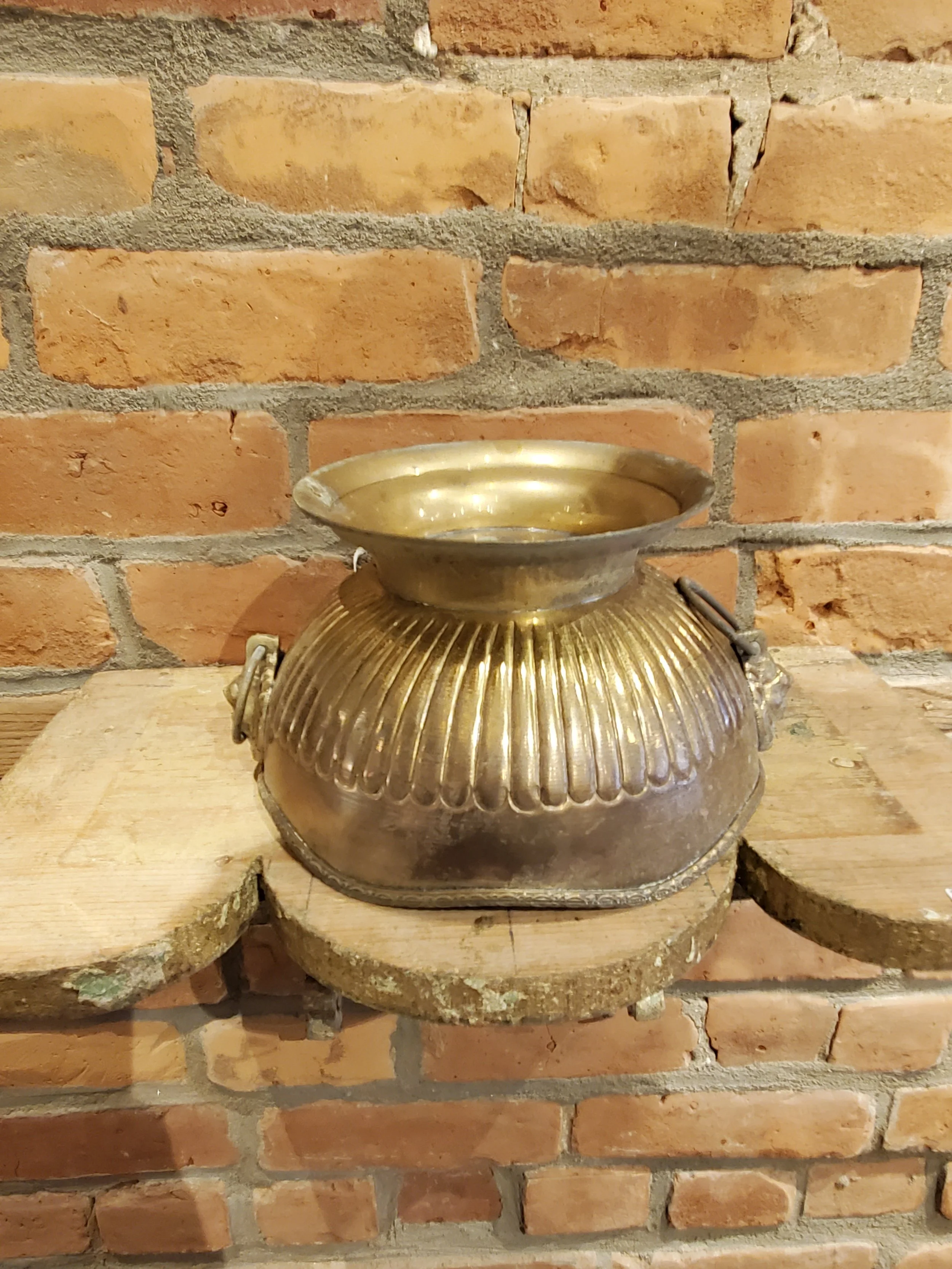 2026-02-11 12.32.23.jpg