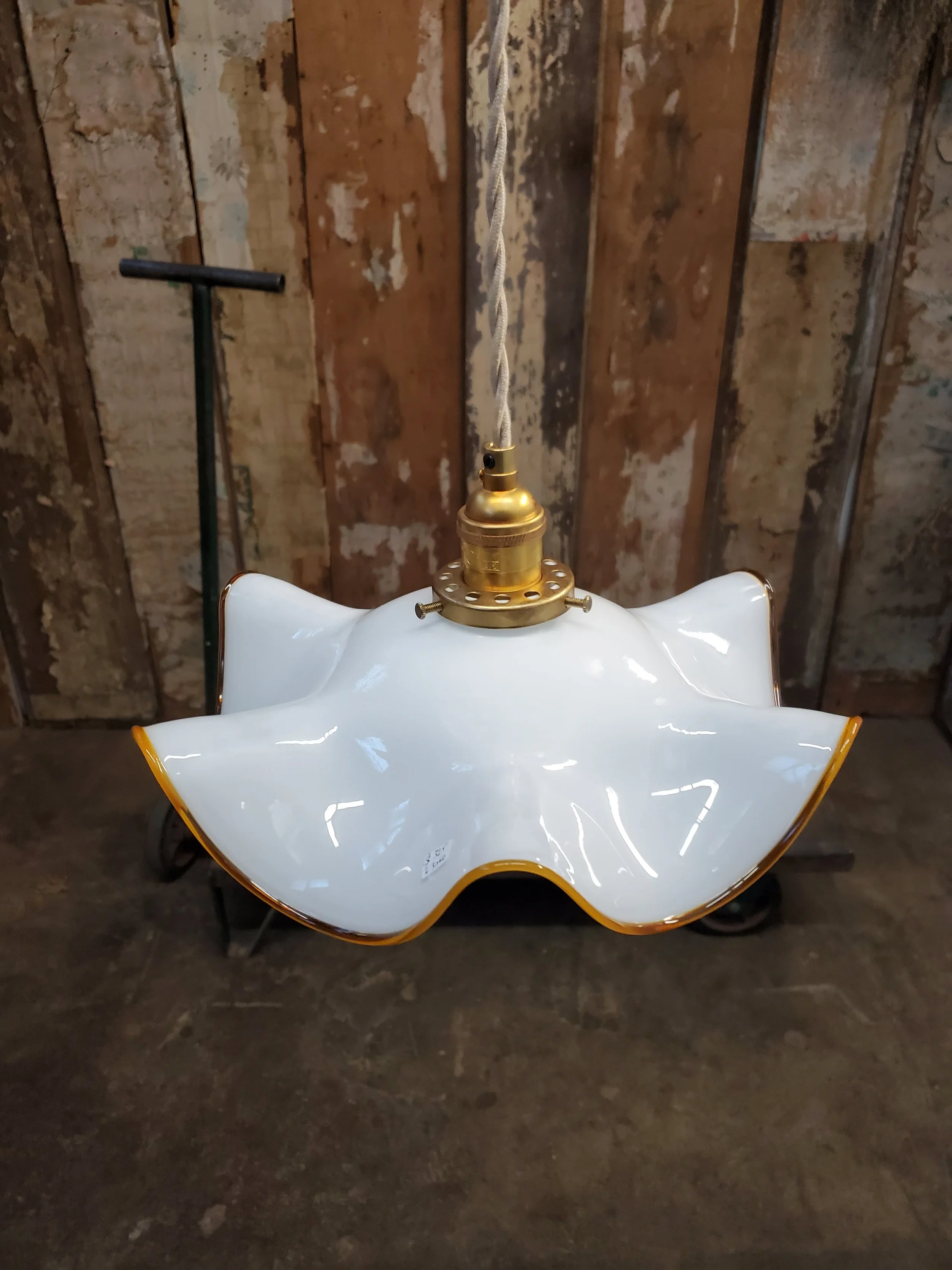 2026-01-23 15.11.41.jpg (copie)