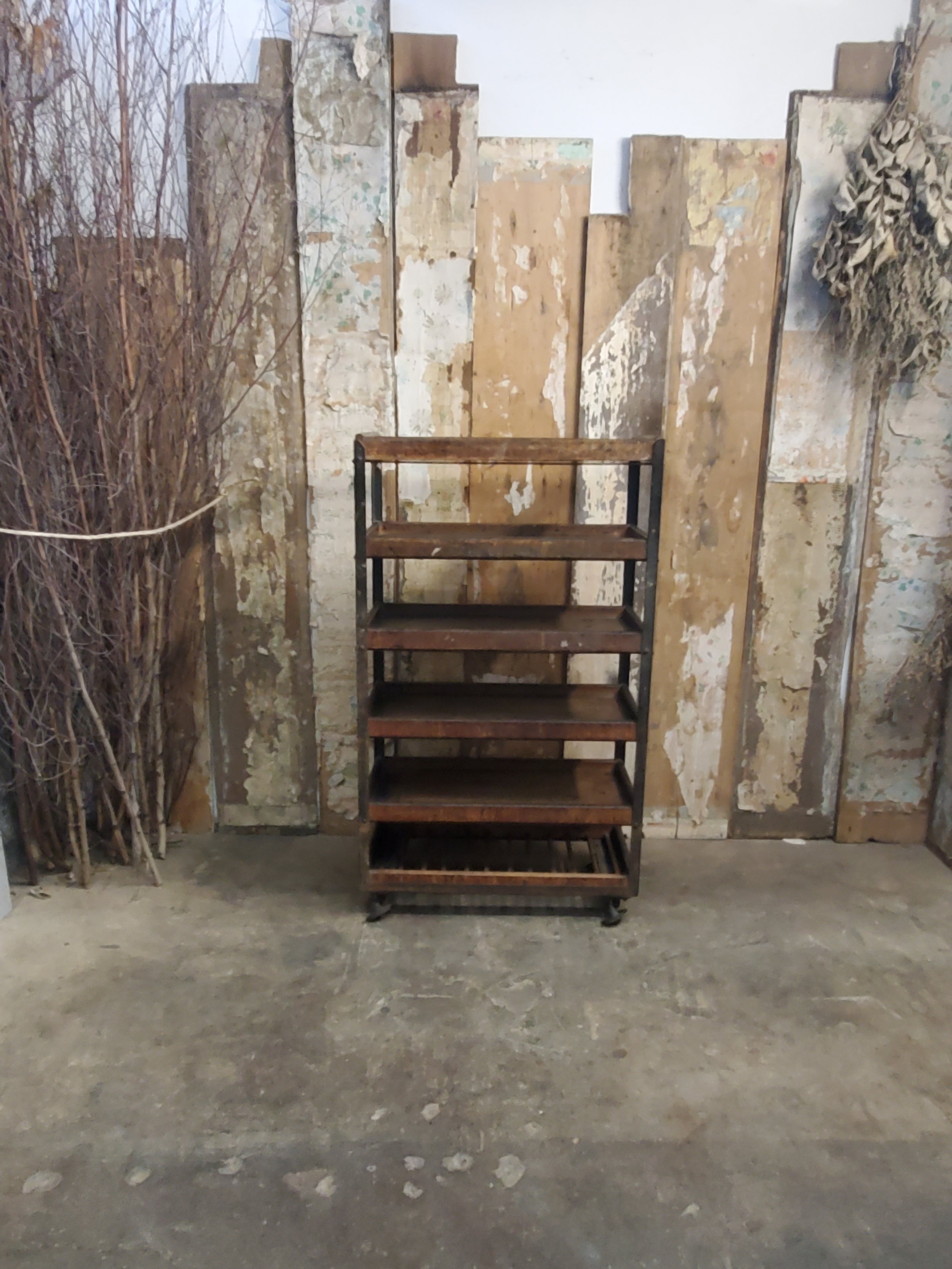 2026-03-21 18.41.02.jpg